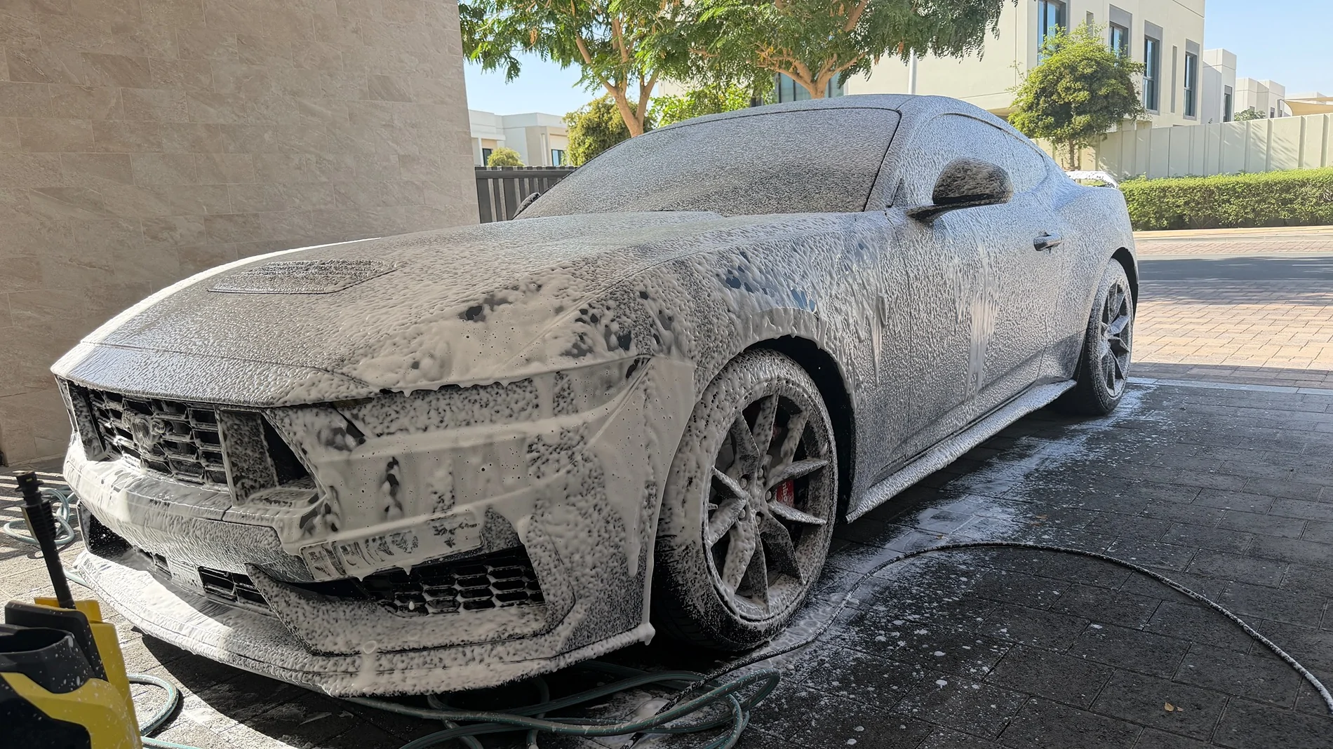 S650 Mustang Cool Daily Random S650 Mustang Pics -- Post Yours! 📸 IMG_6395