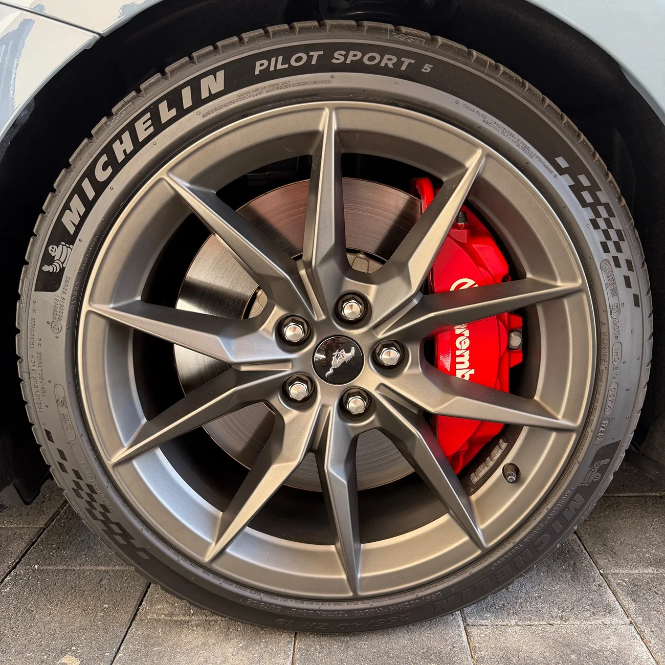 S650 Mustang Cool Daily Random S650 Mustang Pics -- Post Yours! 📸 IMG_6412