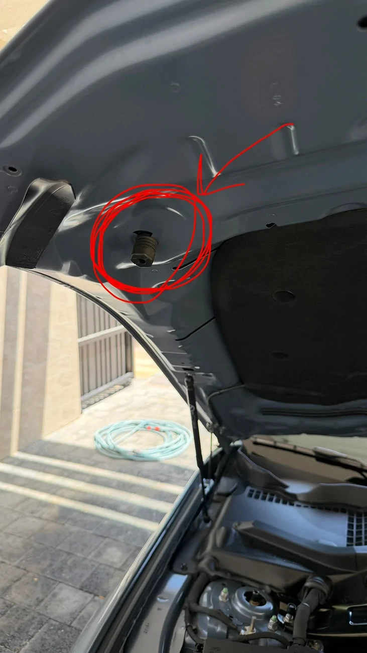 S650 Mustang Has anyone noticed hood lift? IMG_6415