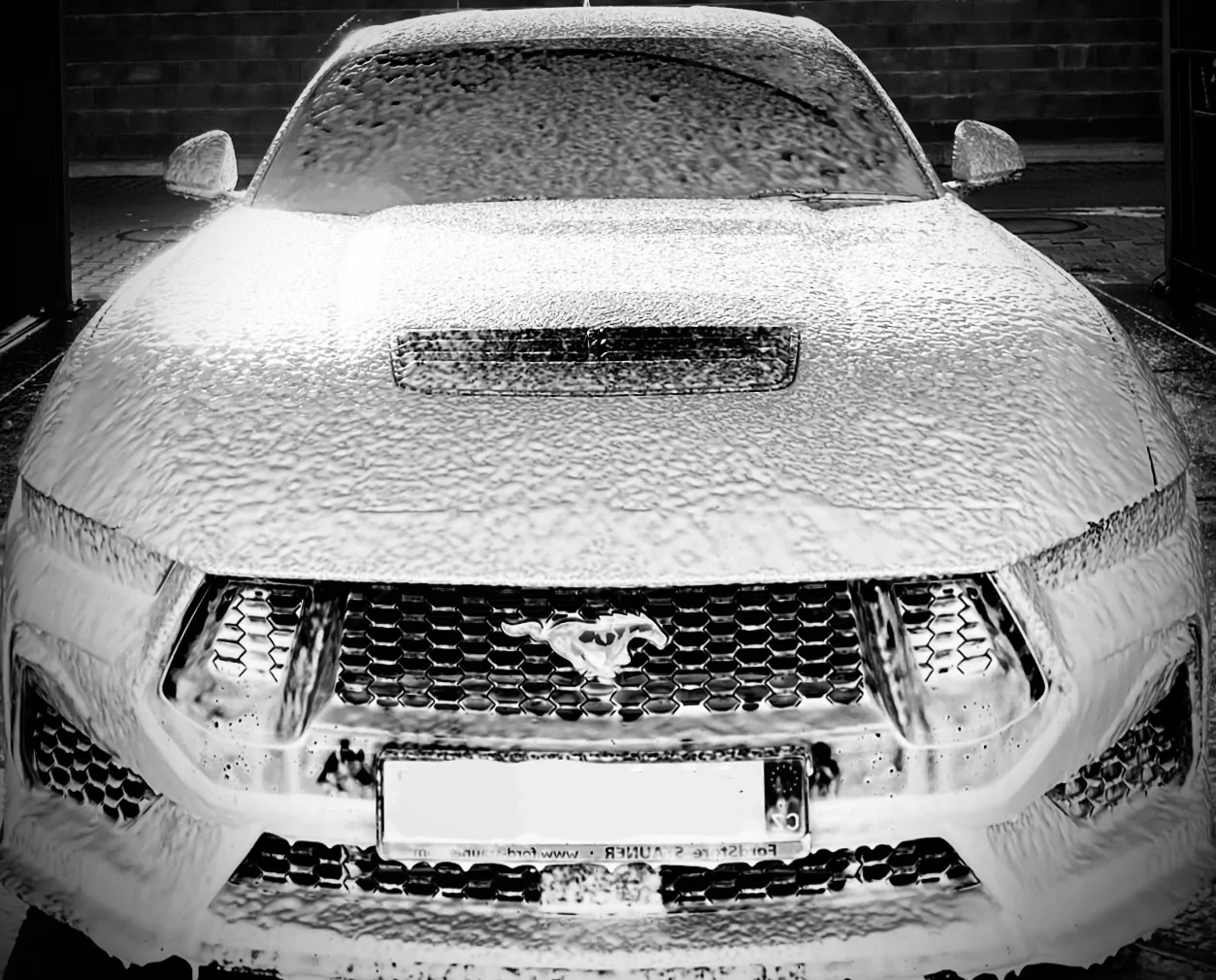 S650 Mustang Cool Daily Random S650 Mustang Pics -- Post Yours! 📸 IMG_5296