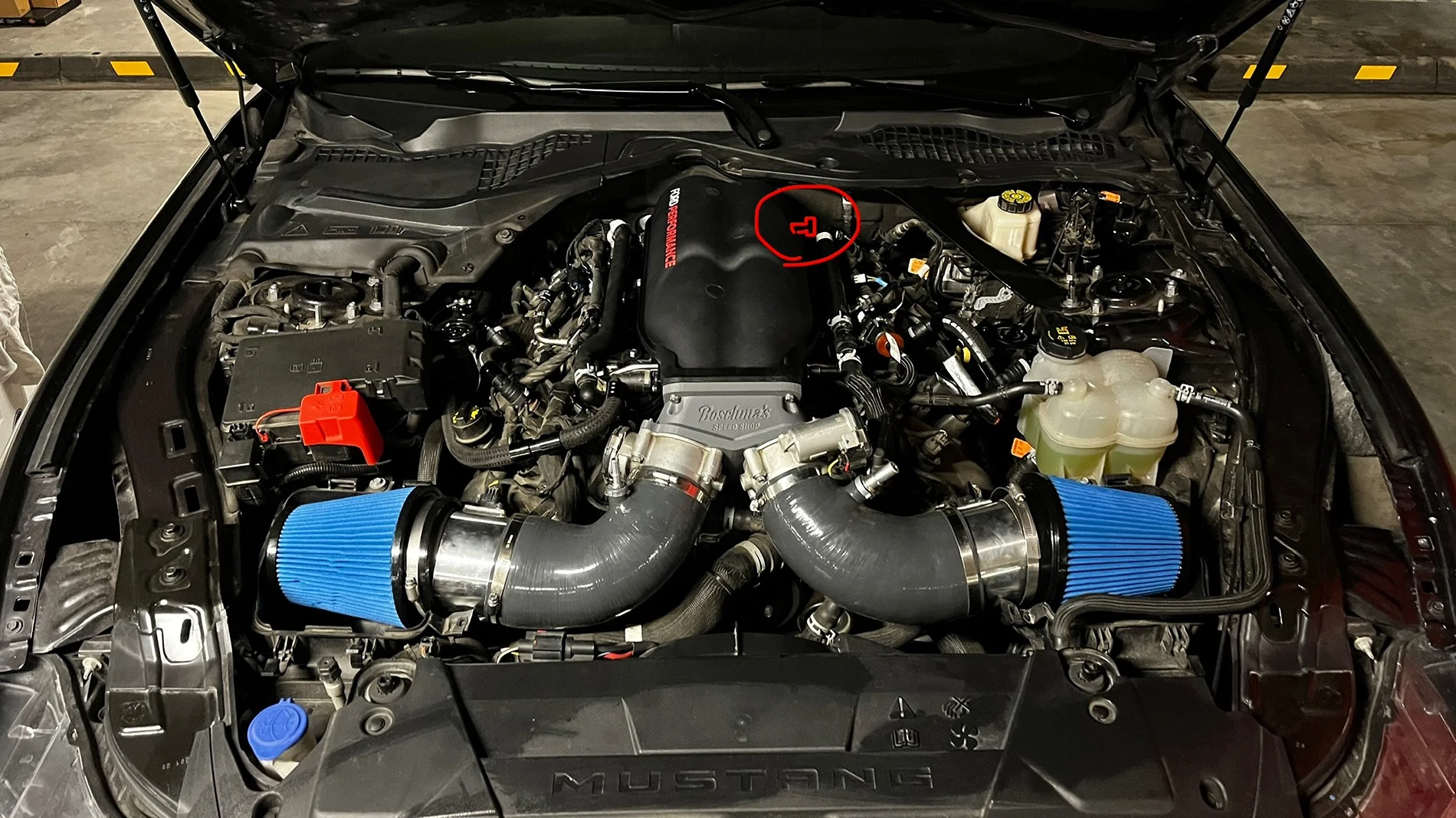 S650 Mustang Cobra Jet Manifold (for S650) IMG_7536