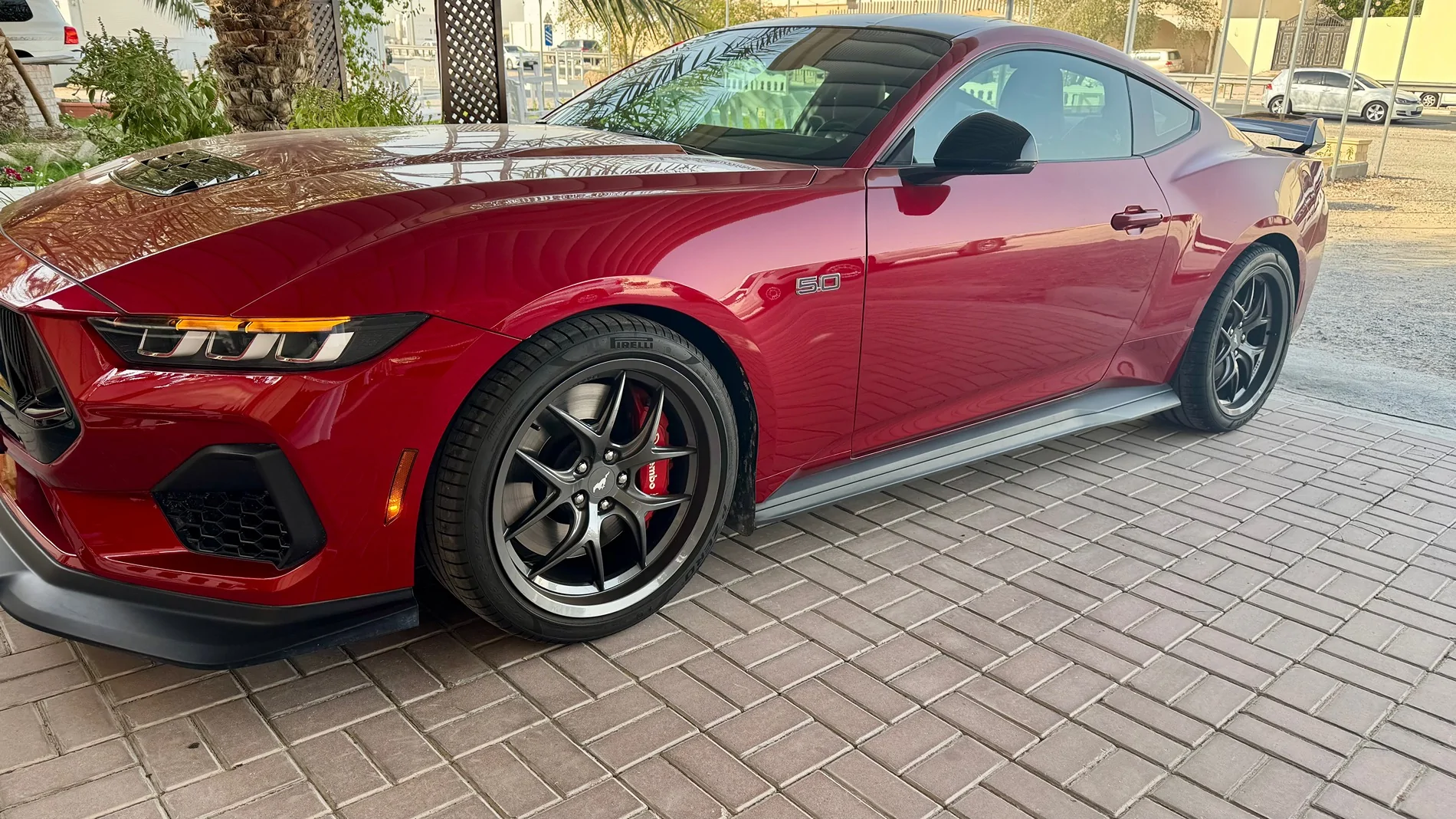 S650 Mustang What did you do to your S650 Mustang today?? 🙋🏻‍♂️ IMG_5517