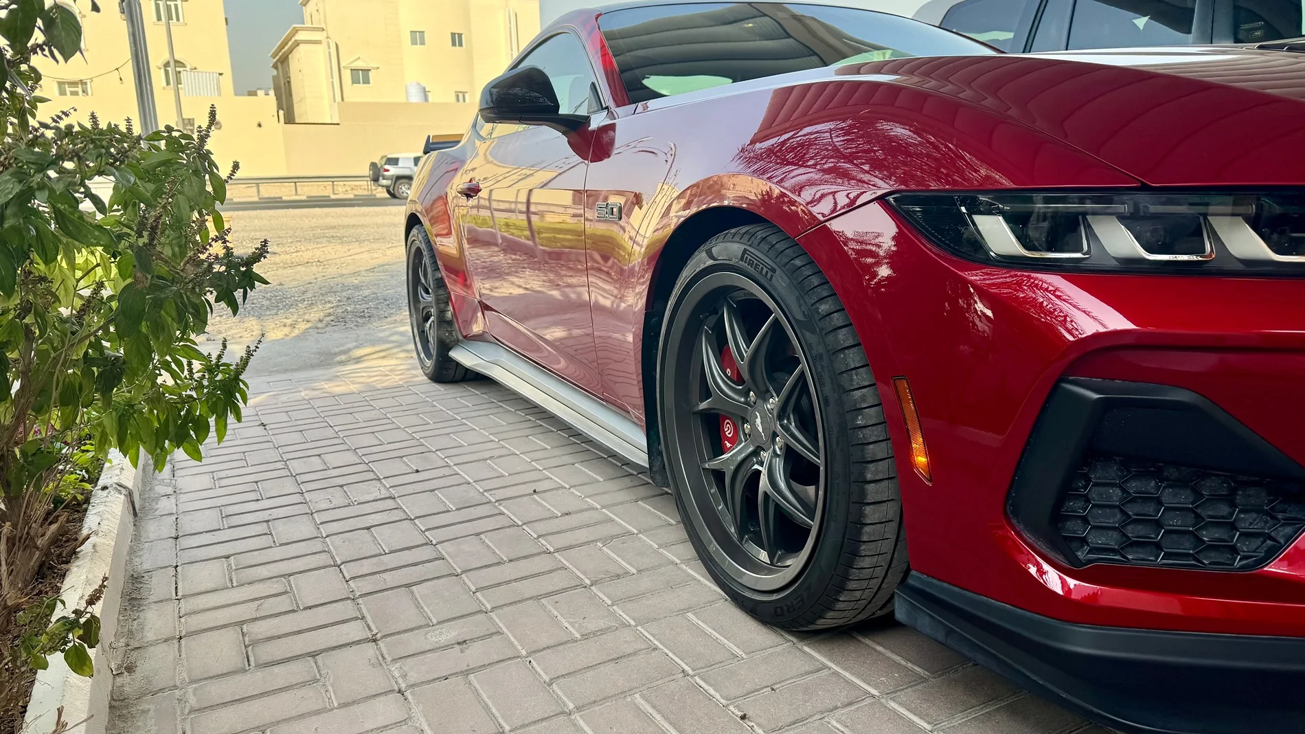S650 Mustang What did you do to your S650 Mustang today?? 🙋🏻‍♂️ IMG_5516