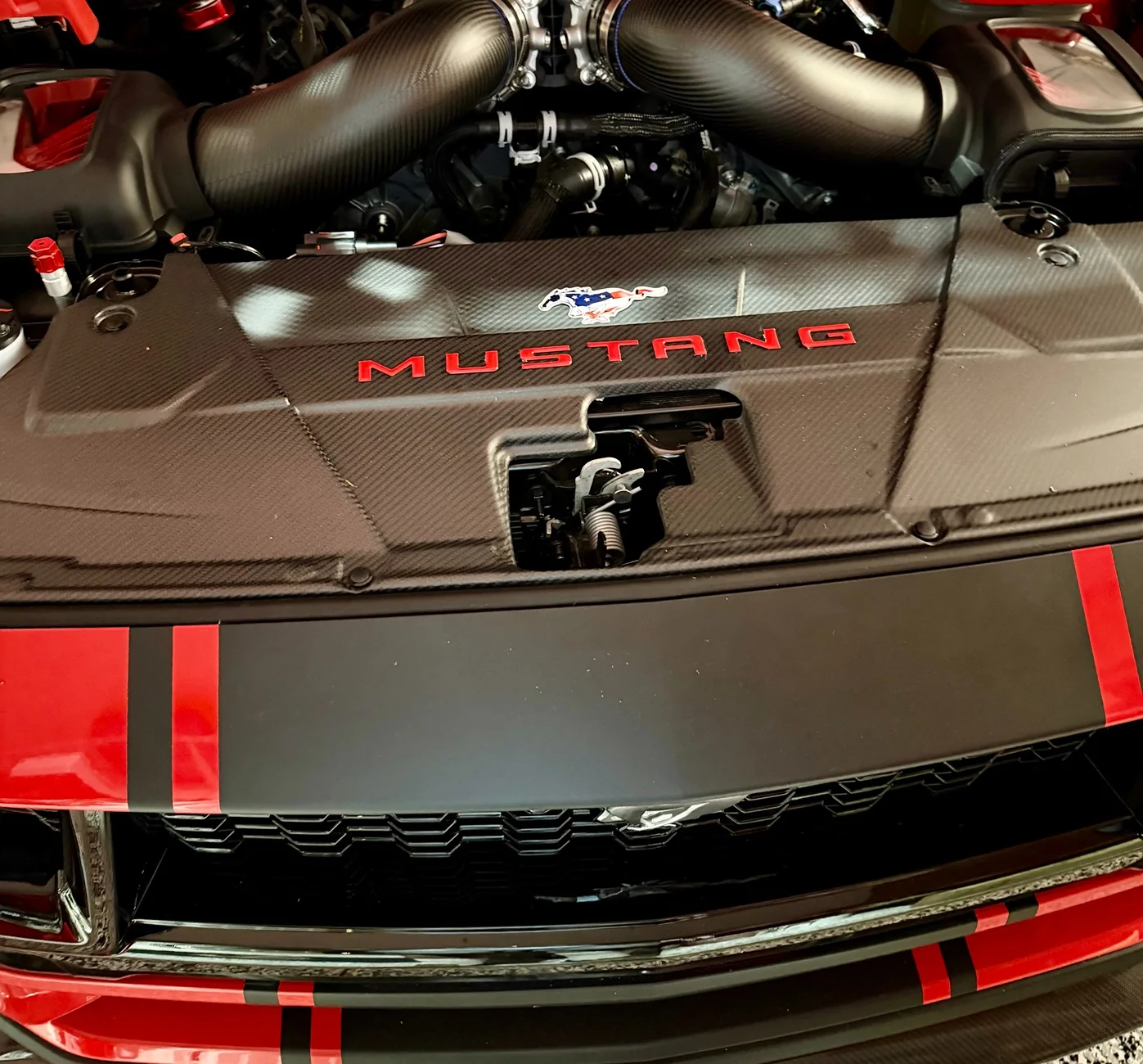 S650 Mustang Engine Bay Custom Color Letters IMG_5221