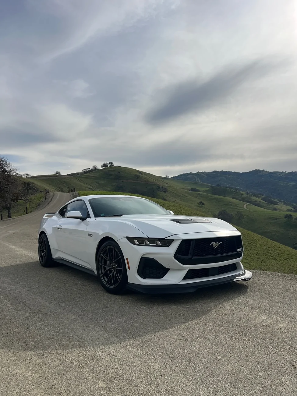 S650 Mustang New 2026 GT tempImagejgFH0H
