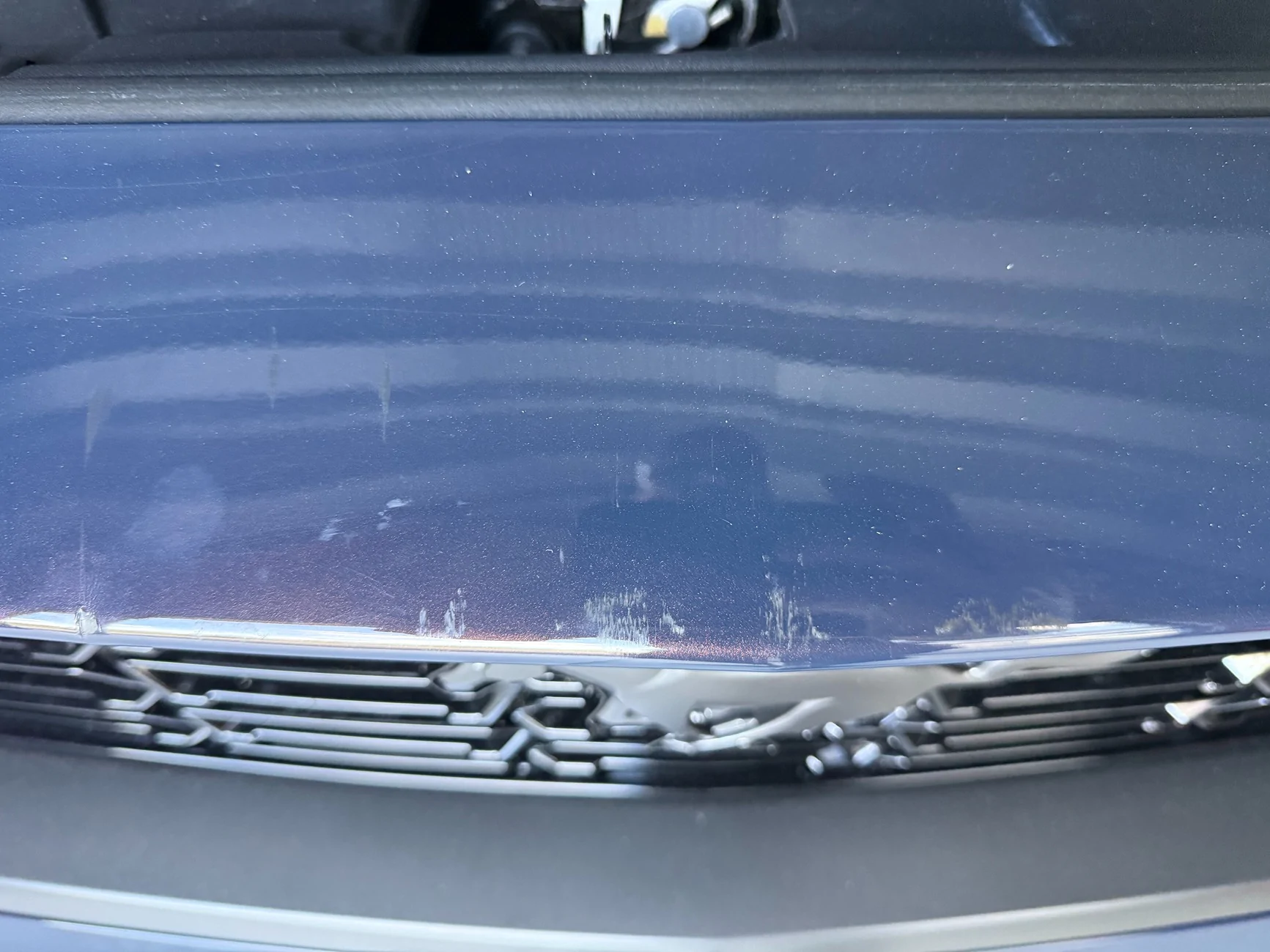 S650 Mustang Nose to Nose damaged Dark Horse IMG_6543