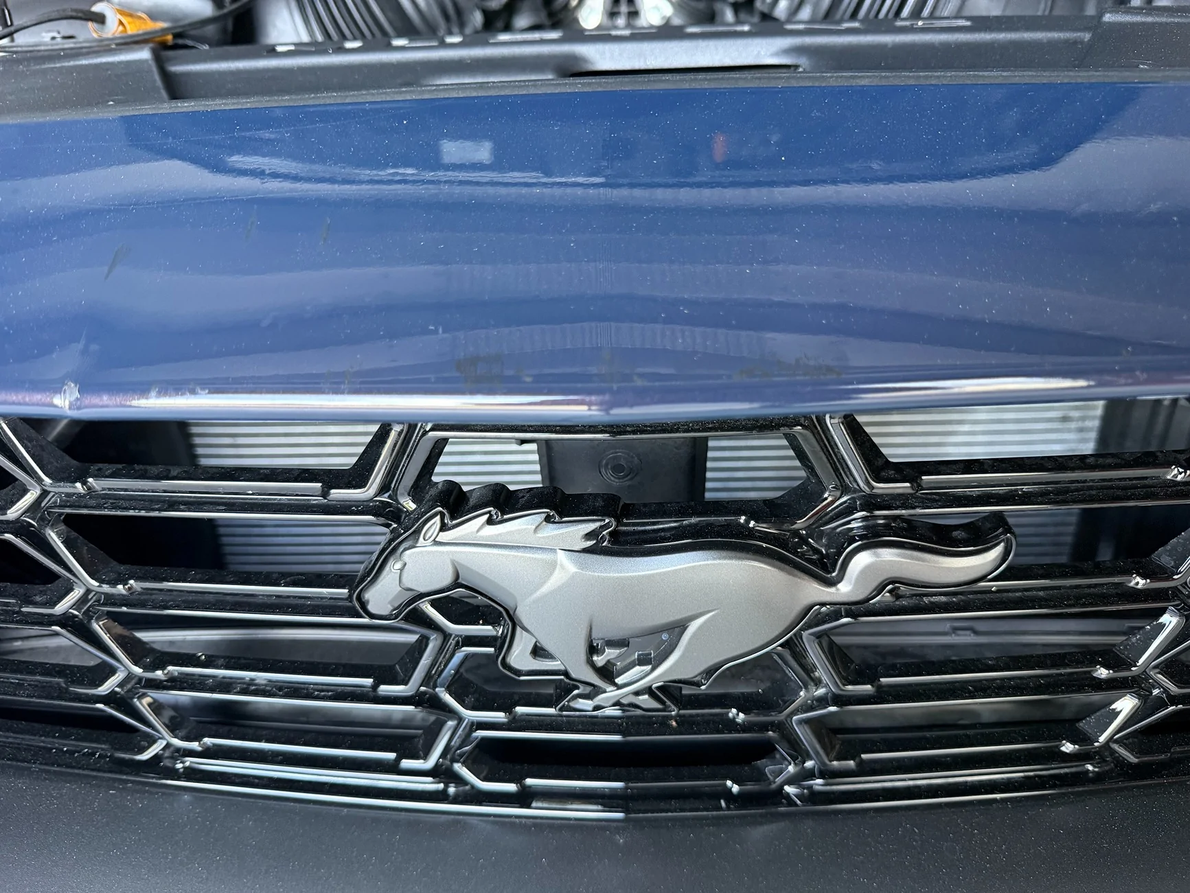 S650 Mustang Nose to Nose damaged Dark Horse IMG_6546