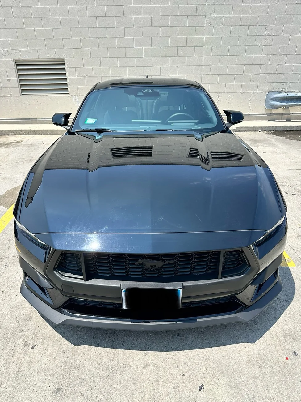 S650 Mustang 2K Clear Satin spray paint on gloss black grill? IMG_7113