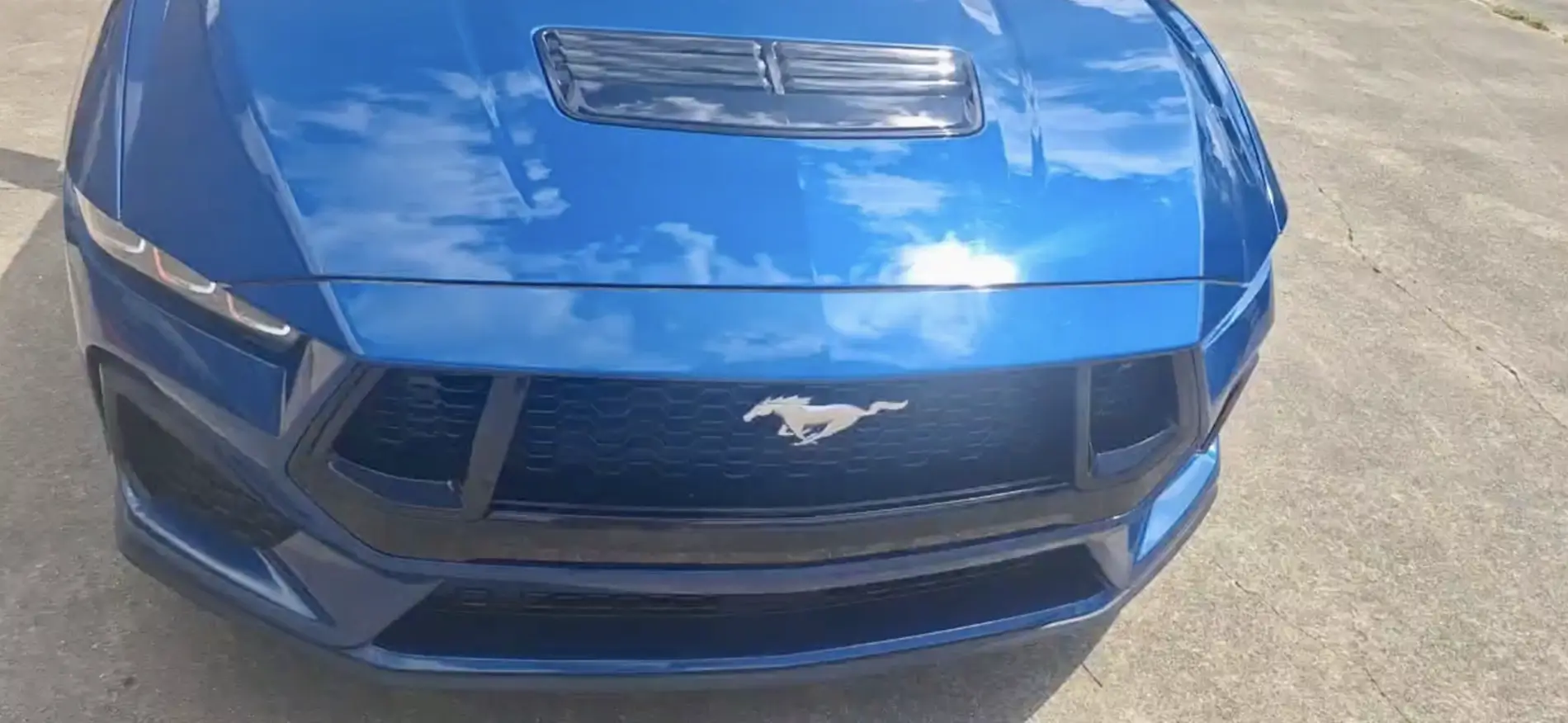 S650 Mustang Gave my GT a nose job - paint matched front trim bar and headlight bezels front