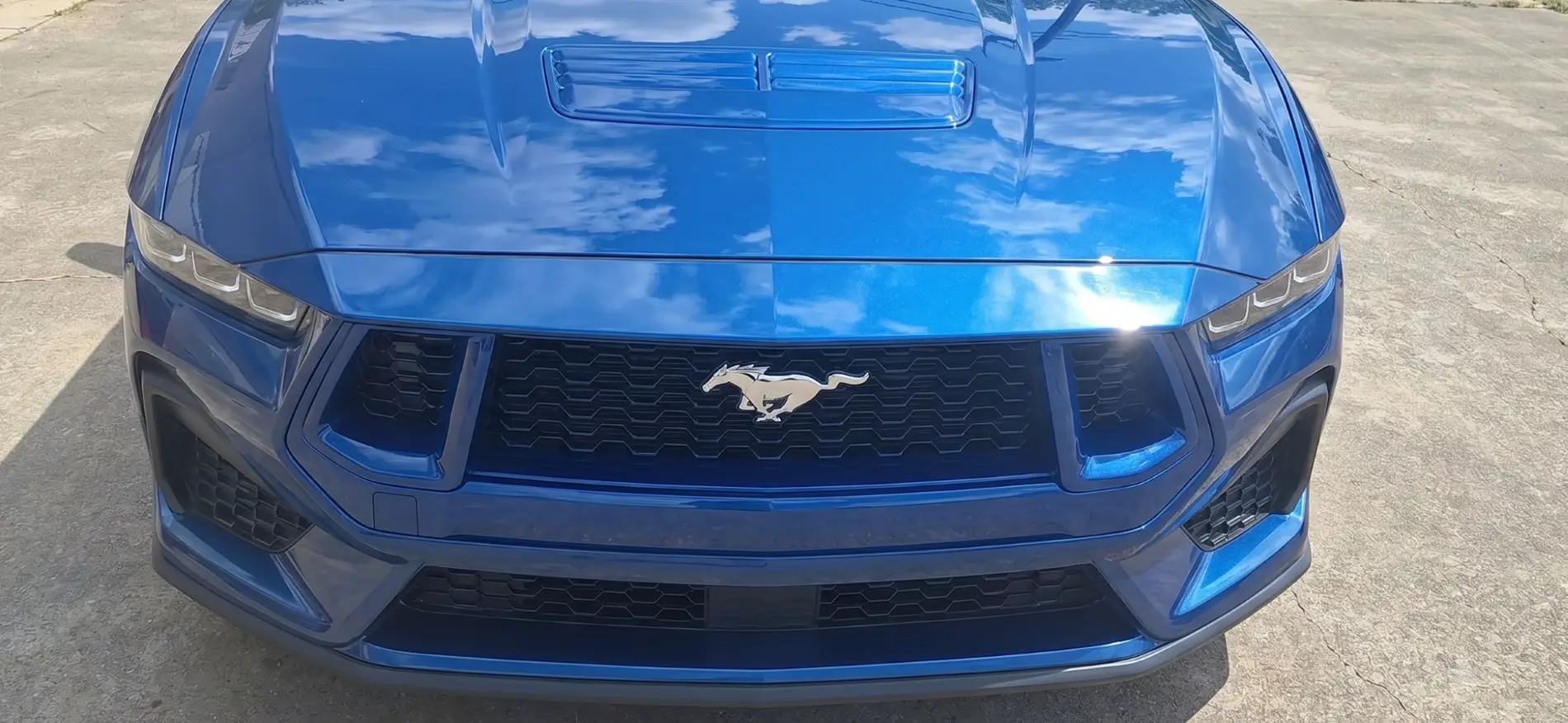 S650 Mustang Gave my GT a nose job - paint matched front trim bar and headlight bezels front1