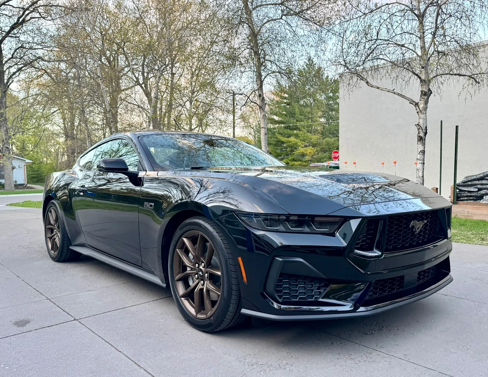 S650 Mustang Gave my GT a nose job - paint matched front trim bar and headlight bezels 1779110756206-gg