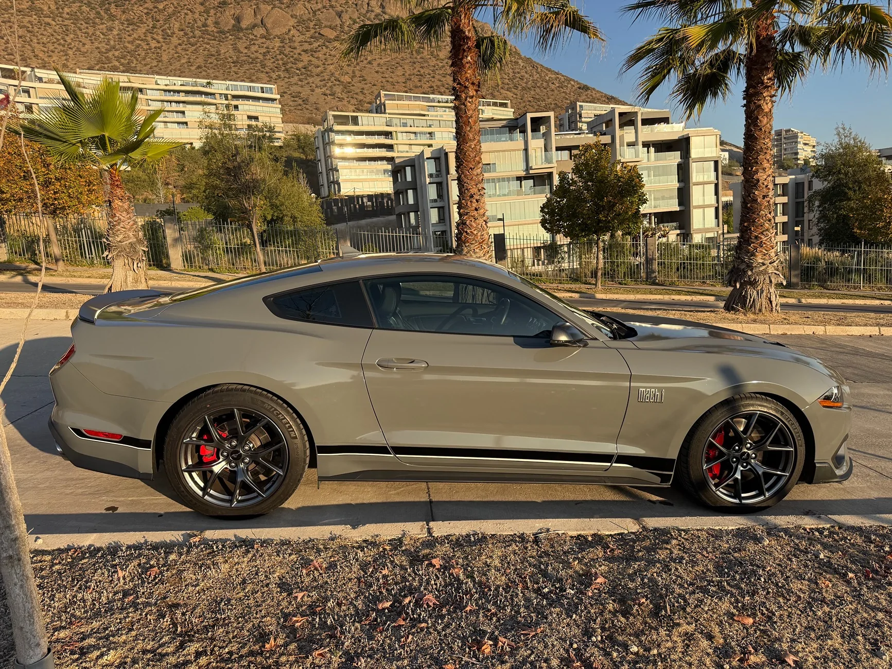 S650 Mustang Red calipers on Carbonized Gray Dark Horse — good idea or leave them black? IMG_7846