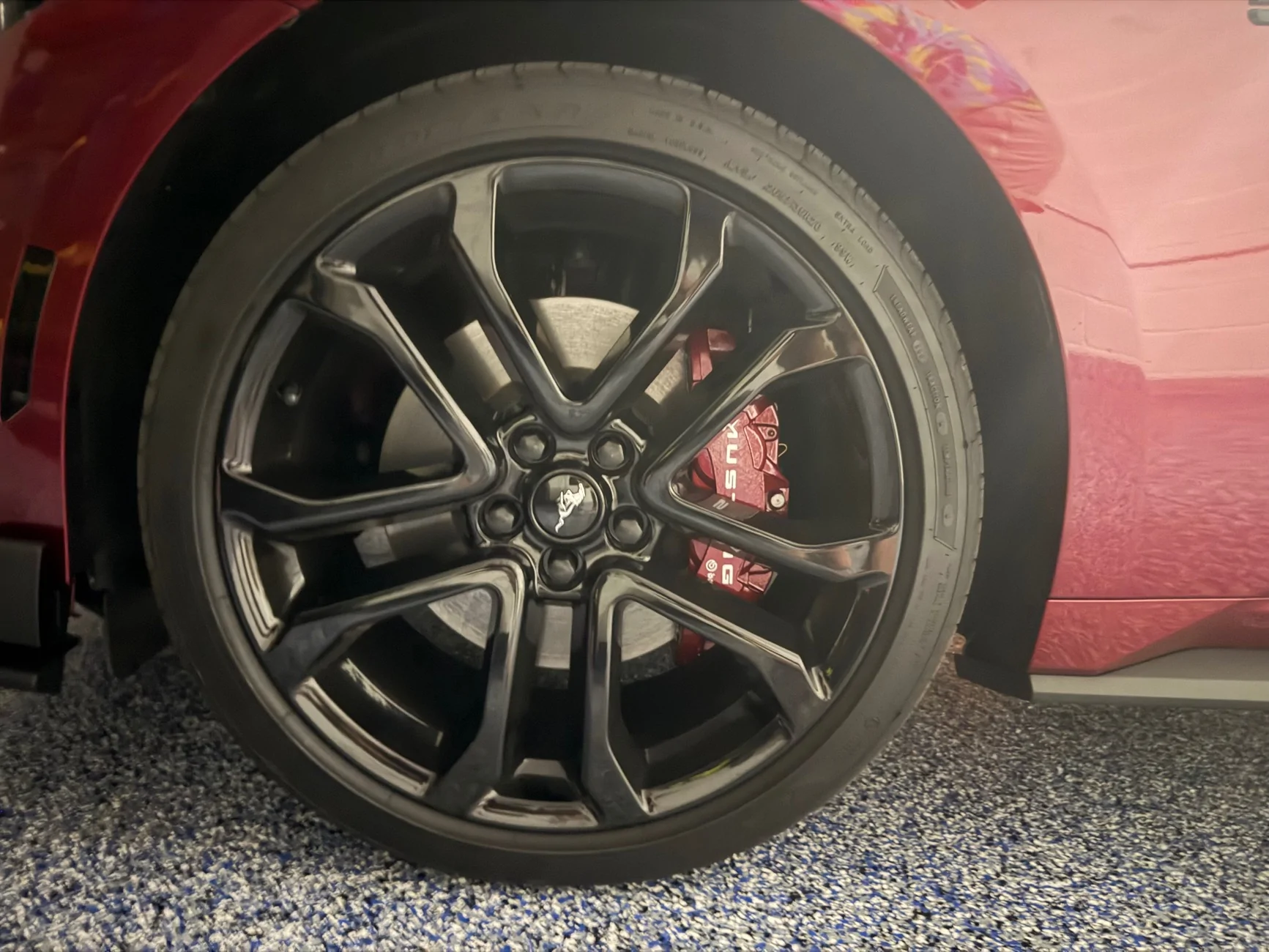 S650 Mustang Official MOLTEN MAGENTA Mustang S650 Thread IMG_0986