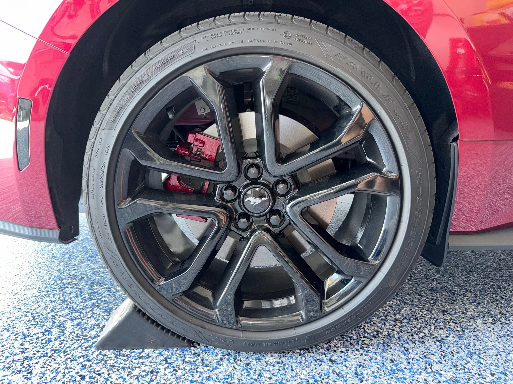 S650 Mustang Official MOLTEN MAGENTA Mustang S650 Thread IMG_0976