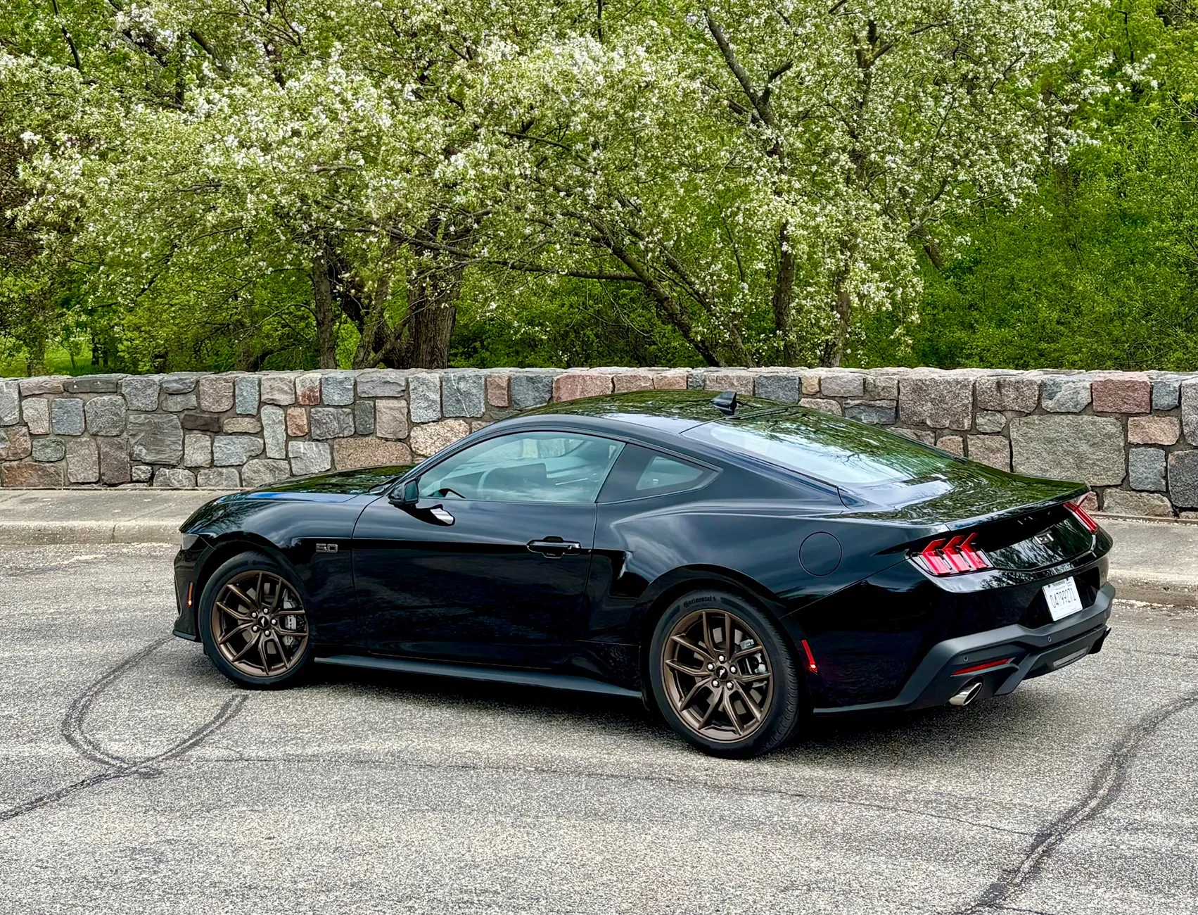 S650 Mustang Cool Daily Random S650 Mustang Pics -- Post Yours! 📸 IMG_2543
