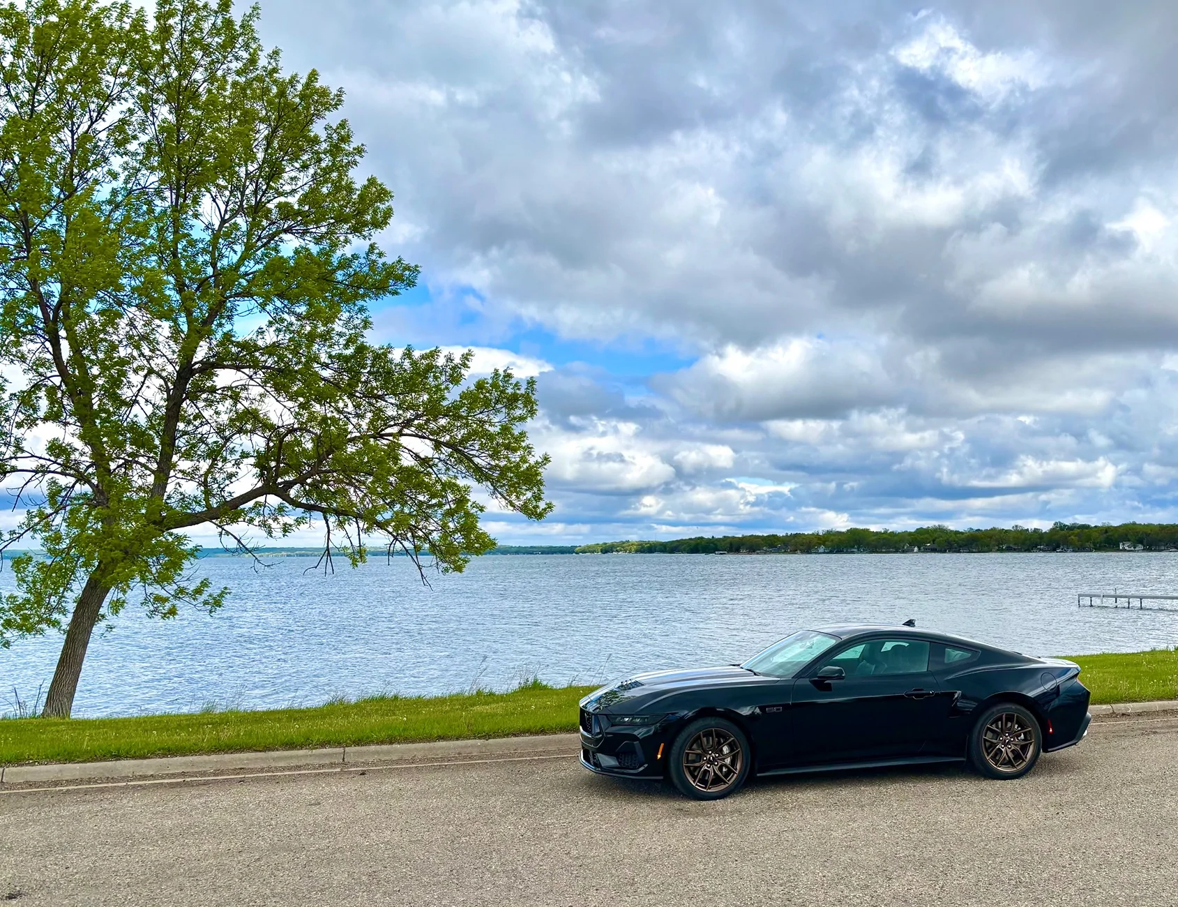 S650 Mustang Cool Daily Random S650 Mustang Pics -- Post Yours! 📸 IMG_2534