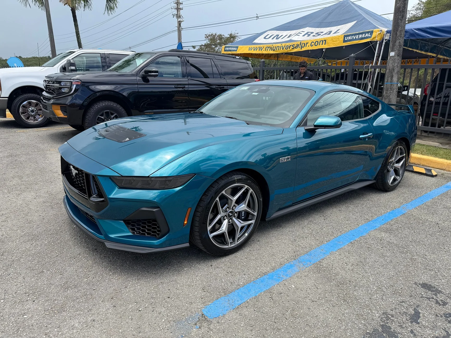 S650 Mustang Introductions & Welcome Thread 👋 IMG_4535