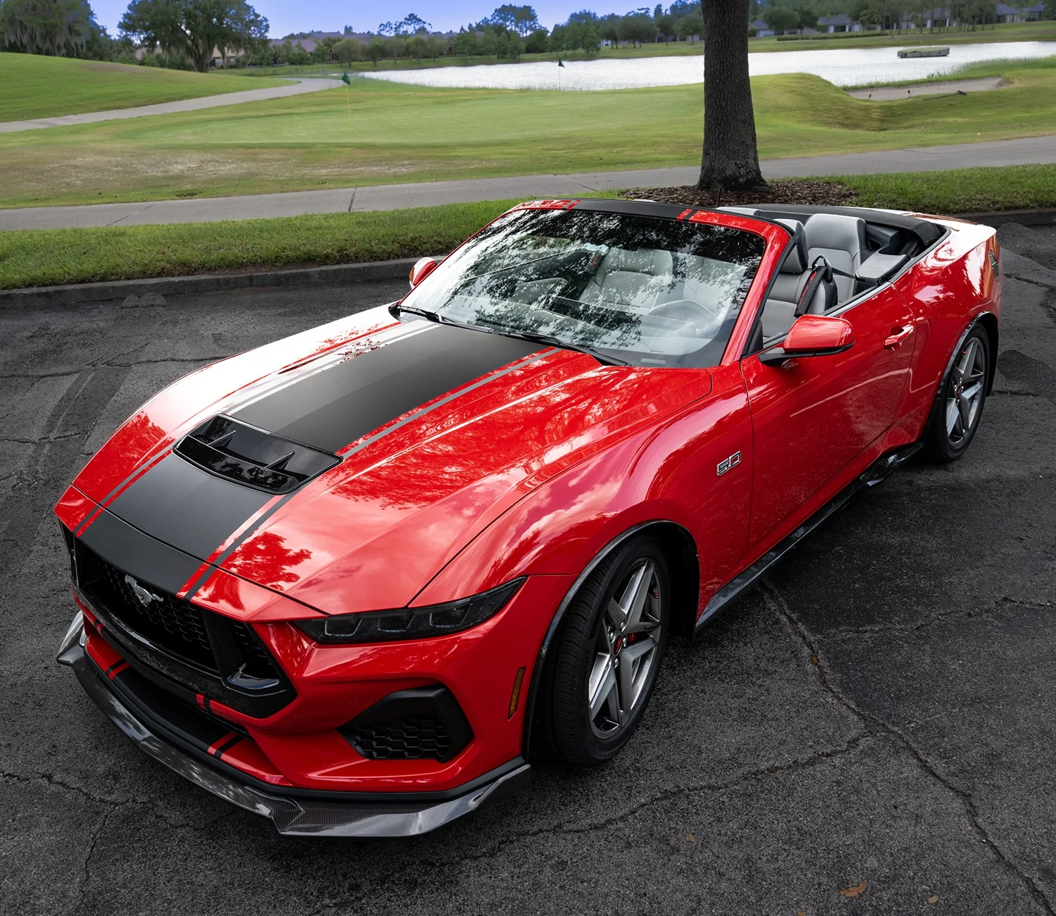 S650 Mustang My first photo shoot... DSC_0416-2