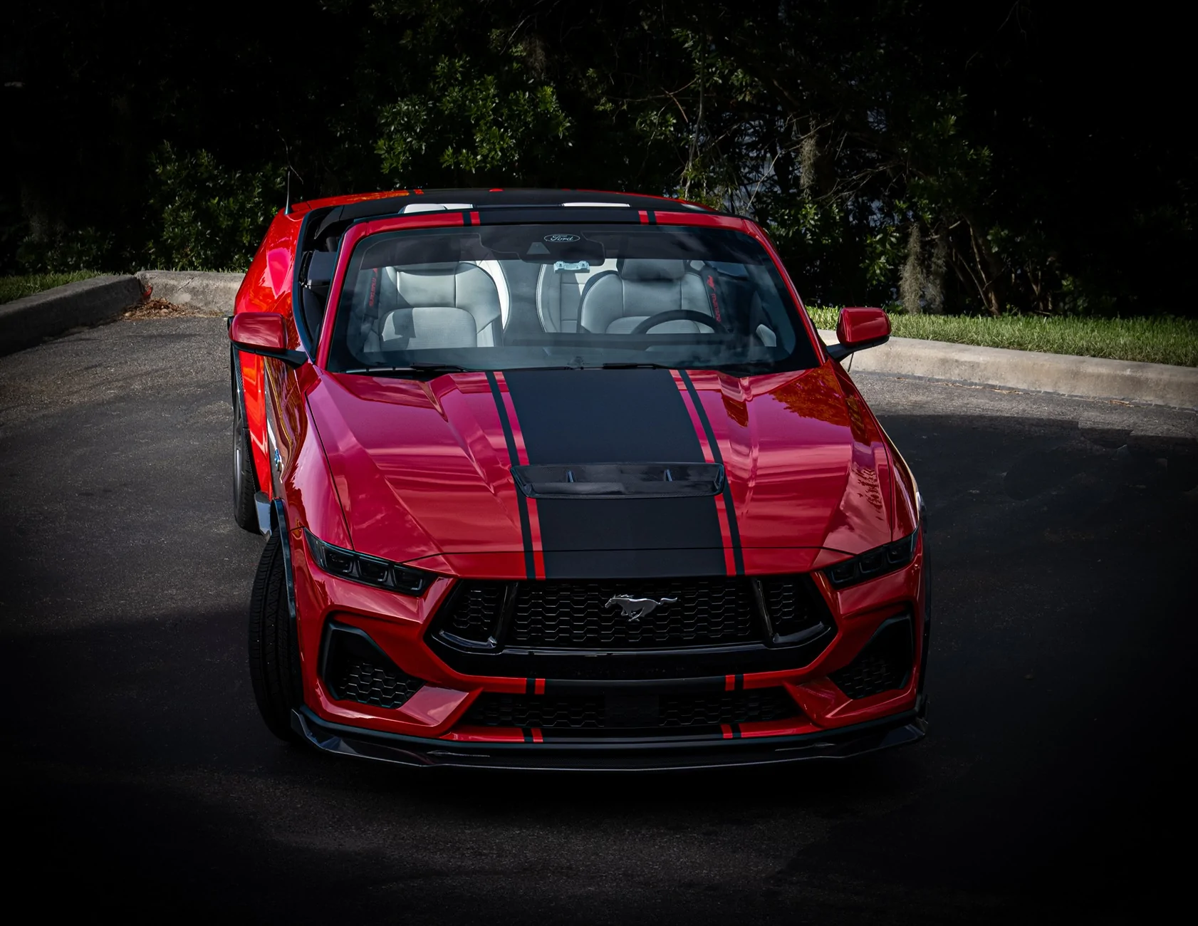 S650 Mustang My first photo shoot... DSC_0400