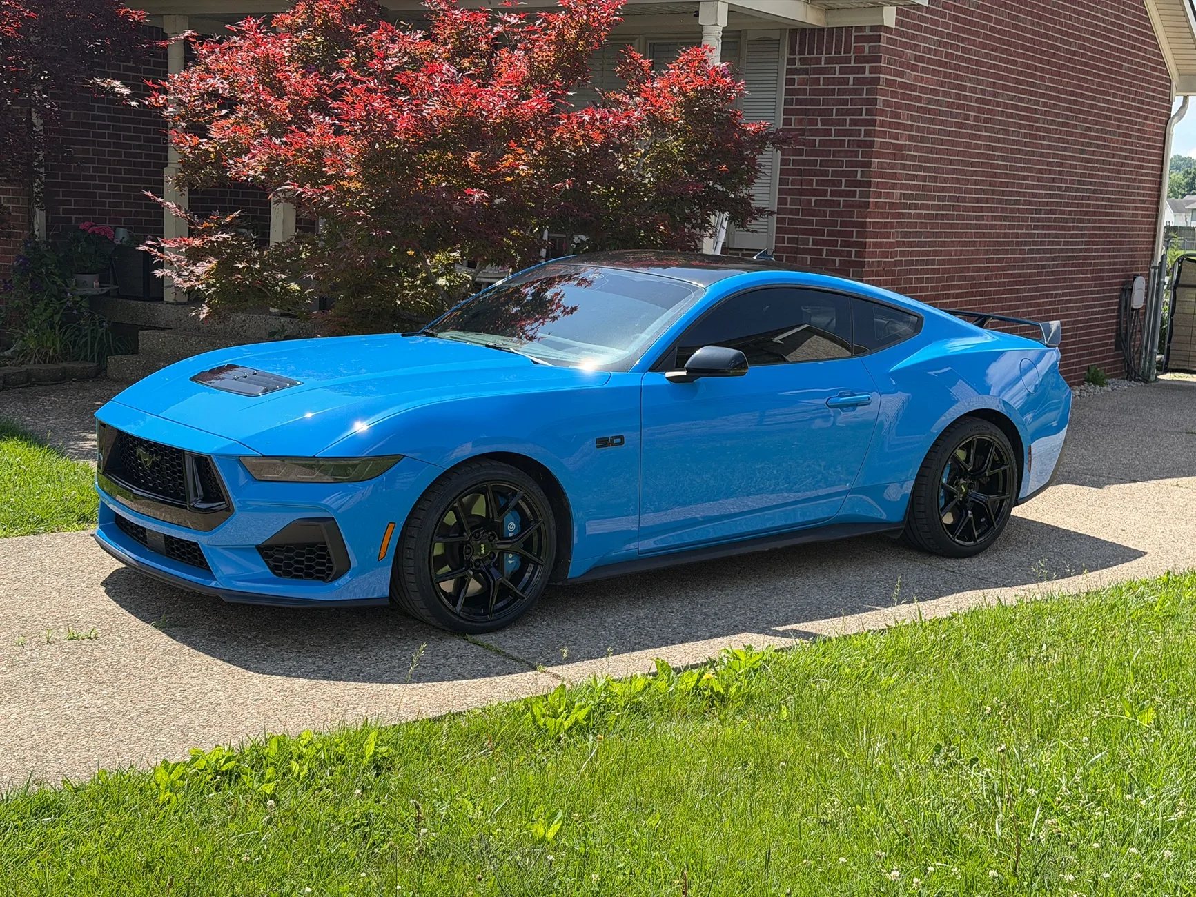 S650 Mustang New Shoes IMG_0954