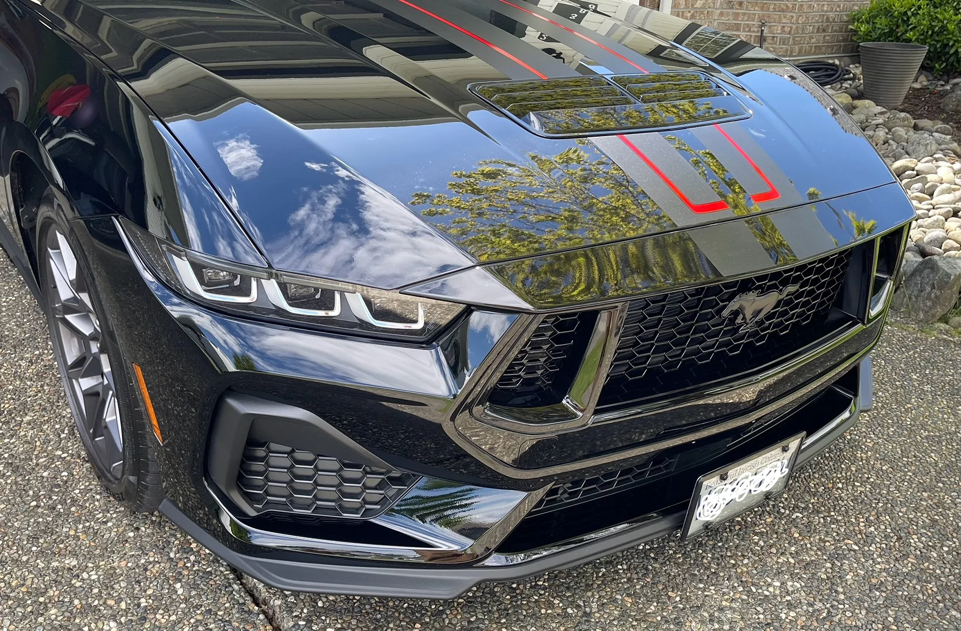 S650 Mustang [TUTORIAL] Change pony emblem without removing bumper! IMG_1993