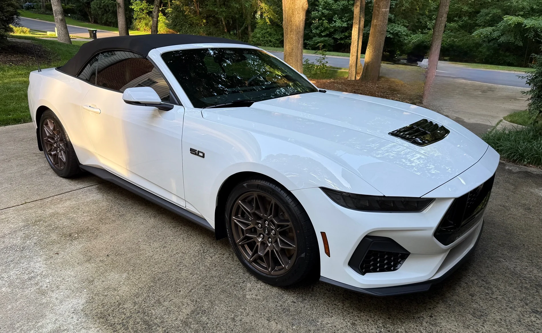 S650 Mustang Cool Daily Random S650 Mustang Pics -- Post Yours! 📸 IMG_5300