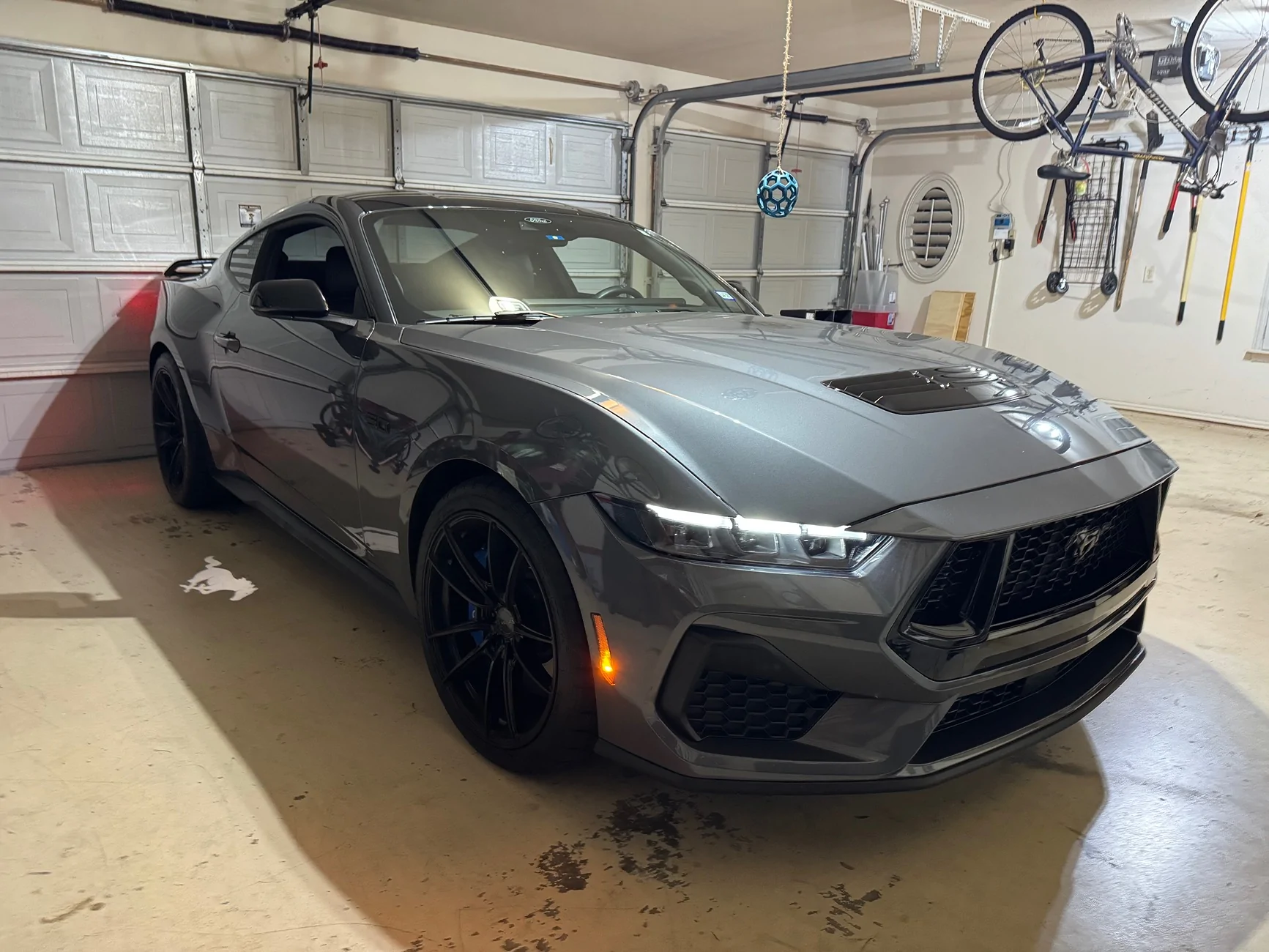 S650 Mustang Cool Daily Random S650 Mustang Pics -- Post Yours! 📸 IMG_2678