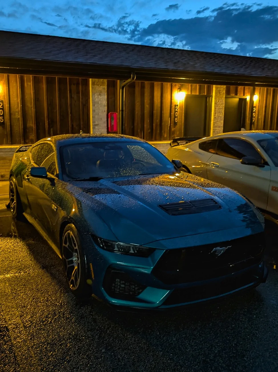 S650 Mustang Cool Daily Random S650 Mustang Pics -- Post Yours! 📸 1000018805