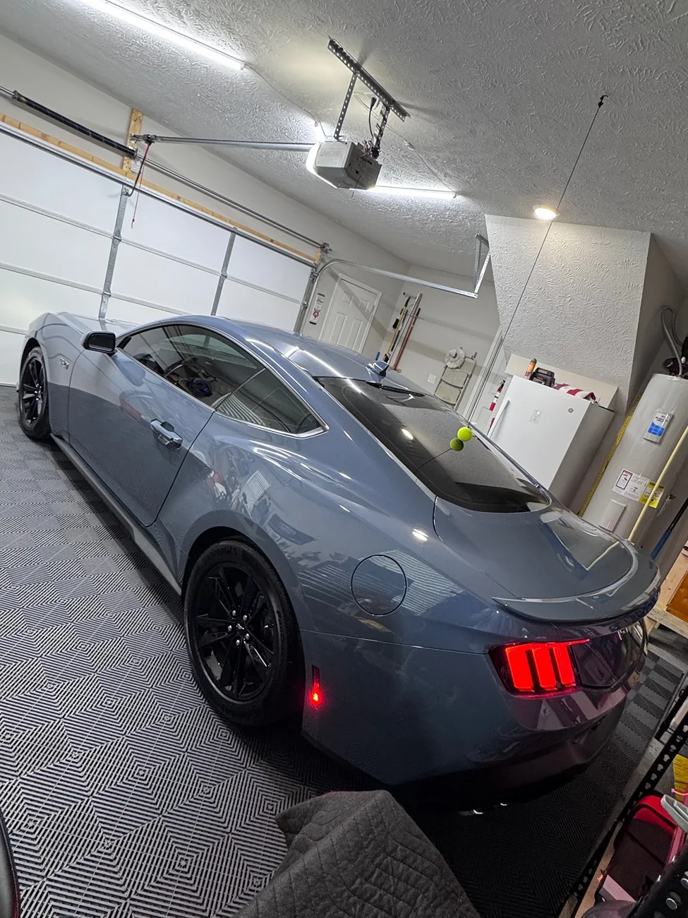 S650 Mustang What did you do to your S650 Mustang today?? 🙋🏻‍♂️ IMG_8908