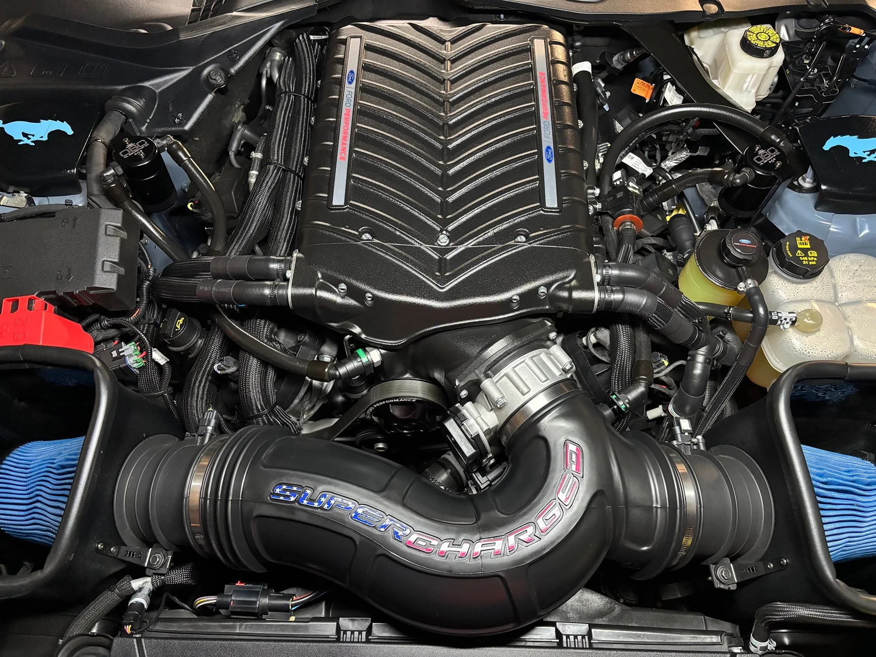 S650 Mustang Whipple intake tube “Supercharged” vinyl letters IMG_5157