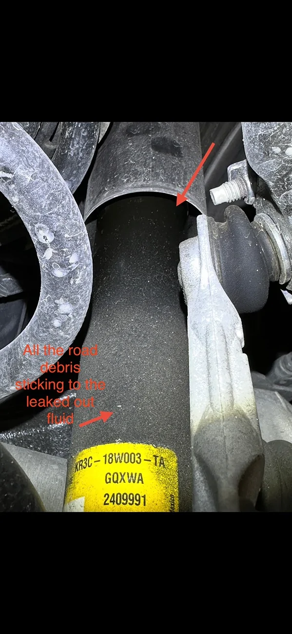 S650 Mustang Leaking Magneride rear shock and front strut IMG_9515
