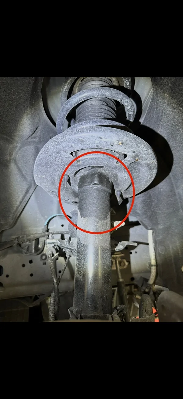 S650 Mustang Leaking Magneride rear shock and front strut IMG_9514