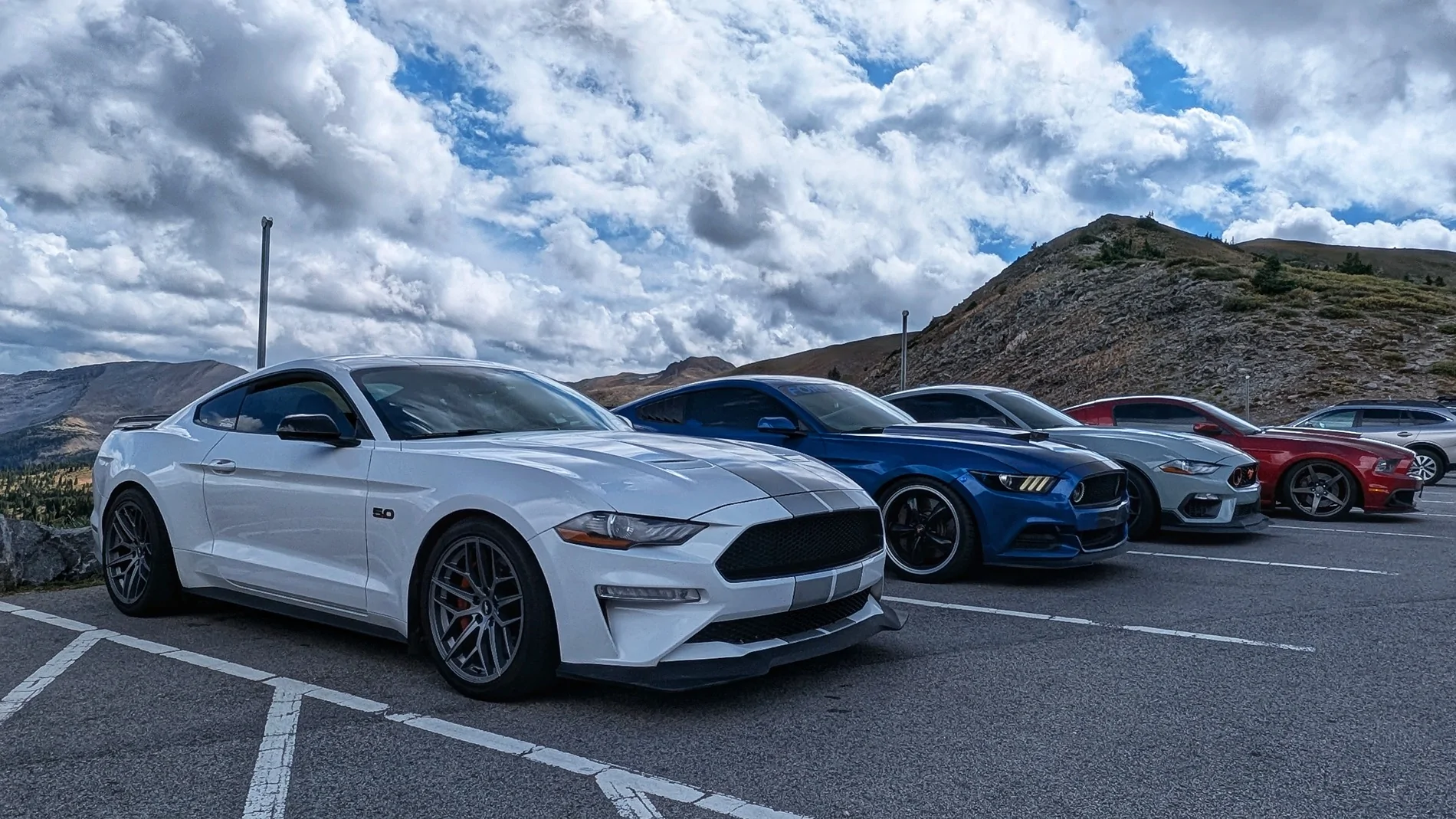 S650 Mustang Cool Daily Random S650 Mustang Pics -- Post Yours! 📸 1000015014