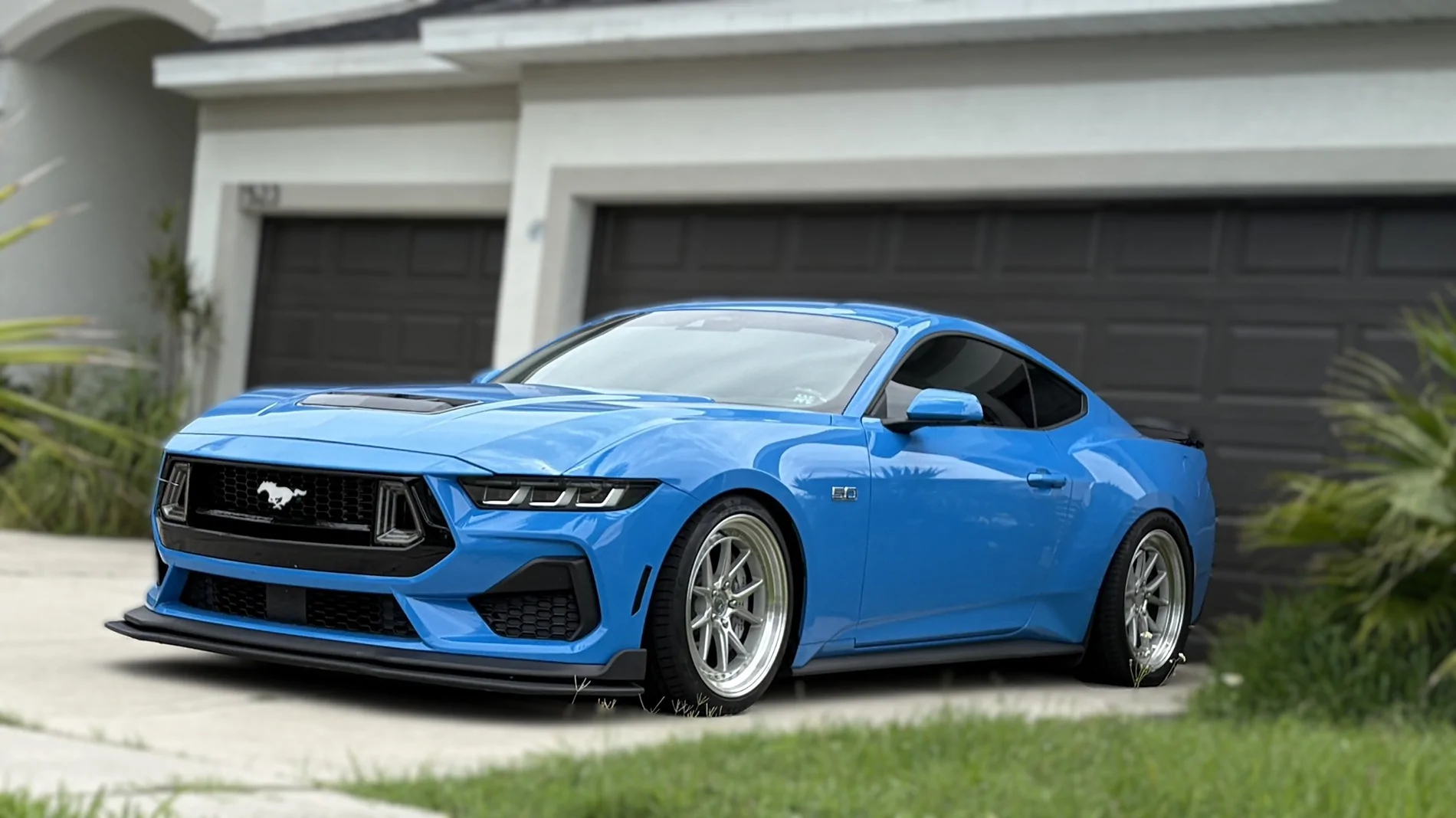 S650 Mustang Cool Daily Random S650 Mustang Pics -- Post Yours! 📸 Grabber Blue S650 in Mira Lago Background Blurred