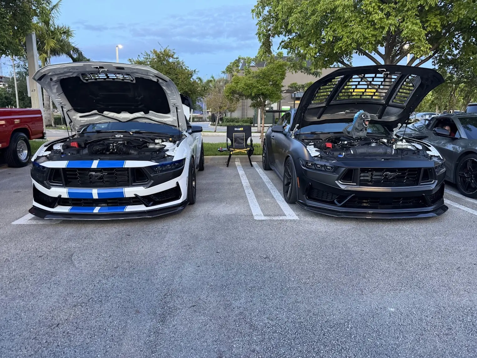 S650 Mustang Steeda Magneride Sport Progressive Springs installed - review & photos 1780856897730-ig