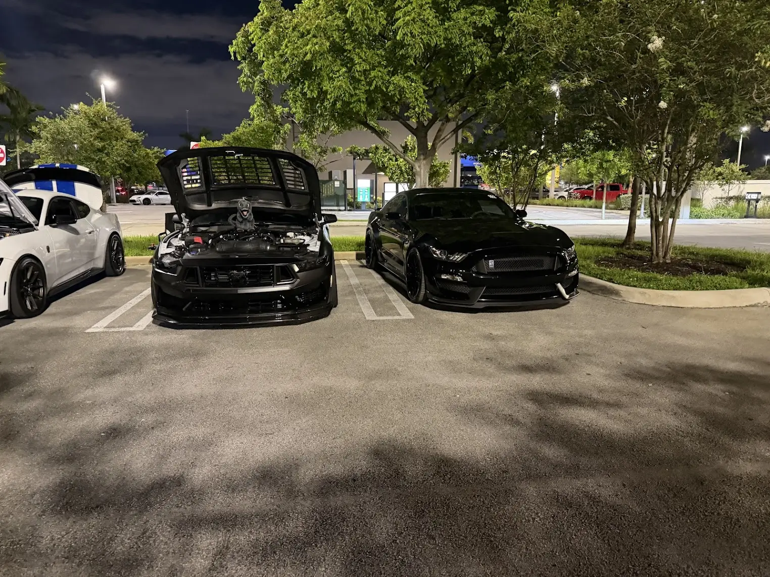 S650 Mustang Steeda Magneride Sport Progressive Springs installed - review & photos 1780857014361-pd