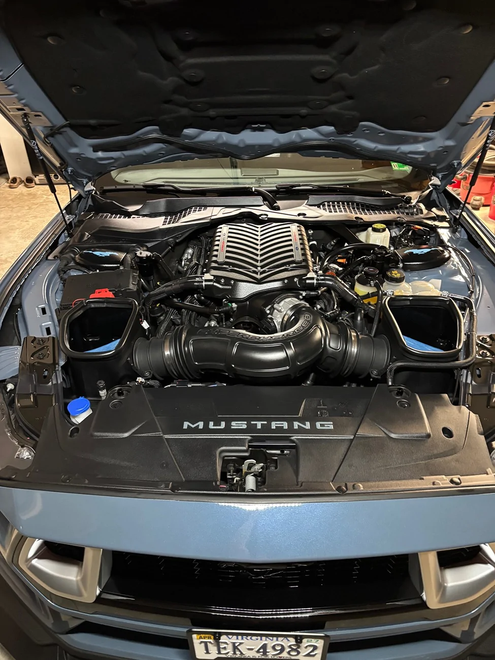 S650 Mustang Nite Pony pics. Show’m if ya gott’m IMG_4822