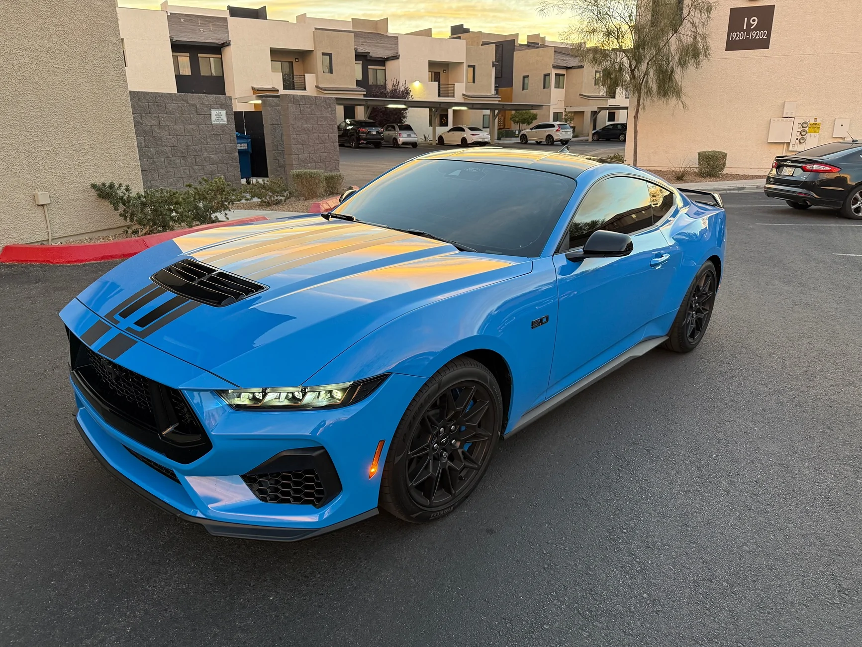 S650 Mustang Nite Pony pics. Show’m if ya gott’m IMG_0501