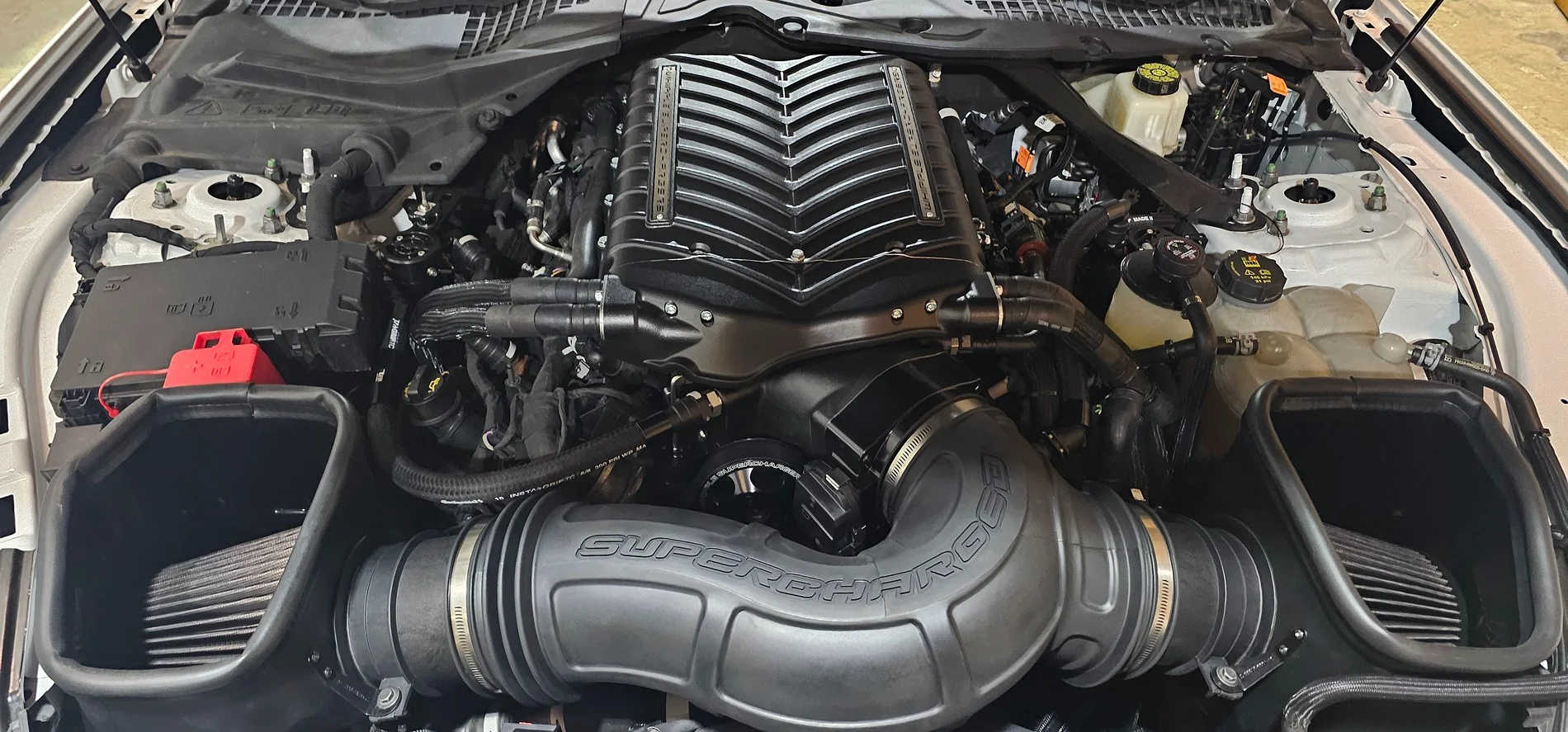 S650 Mustang Nite Pony pics. Show’m if ya gott’m 20251117_191433