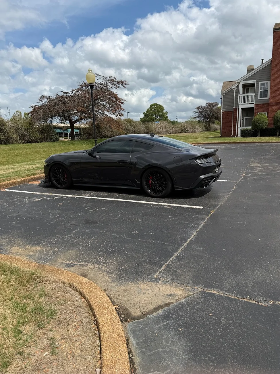 S650 Mustang Street Suspension Setup Review (Ford Performance + Steeda) IMG_8909