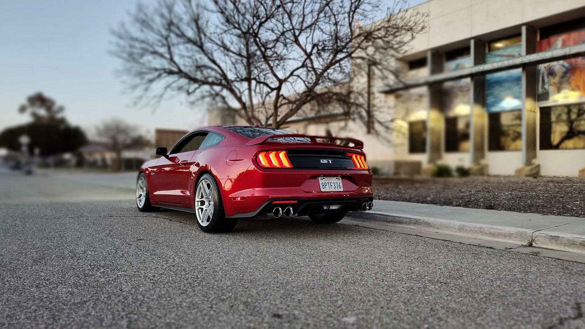 S650 Mustang Best tire size for 19x11 rear wheels IMG_20230324_191310764_MF_PORTRAIT