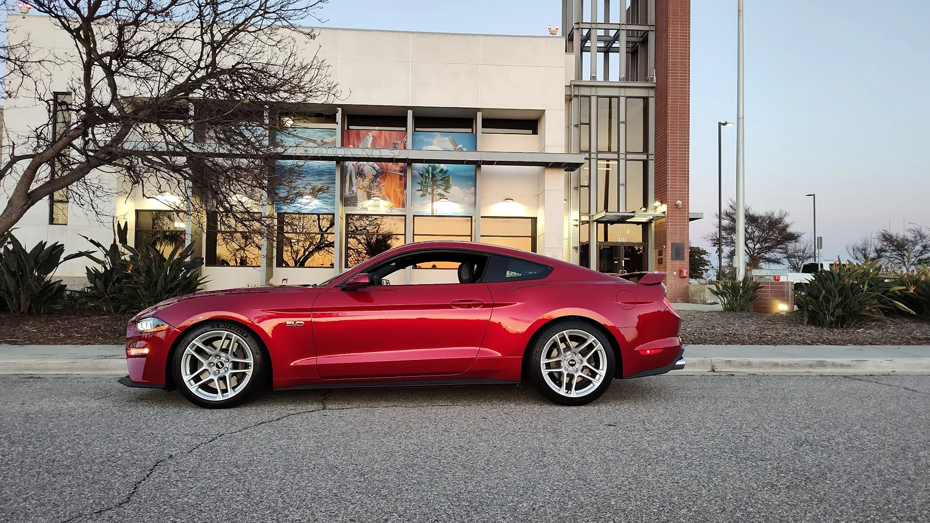 S650 Mustang Best tire size for 19x11 rear wheels IMG_20230324_191234864