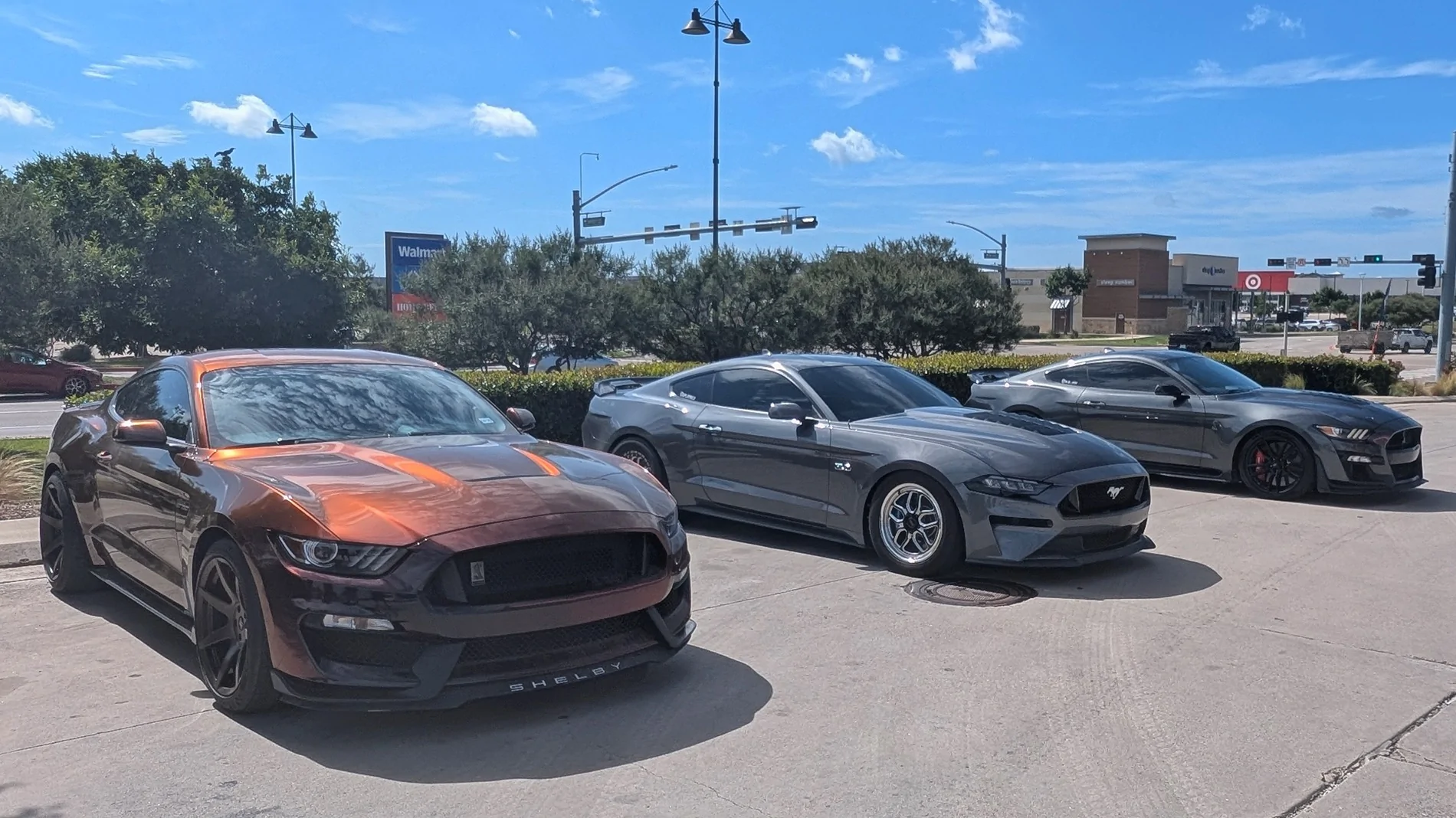 S650 Mustang What did you do to your S650 Mustang today?? 🙋🏻‍♂️ 1000018922