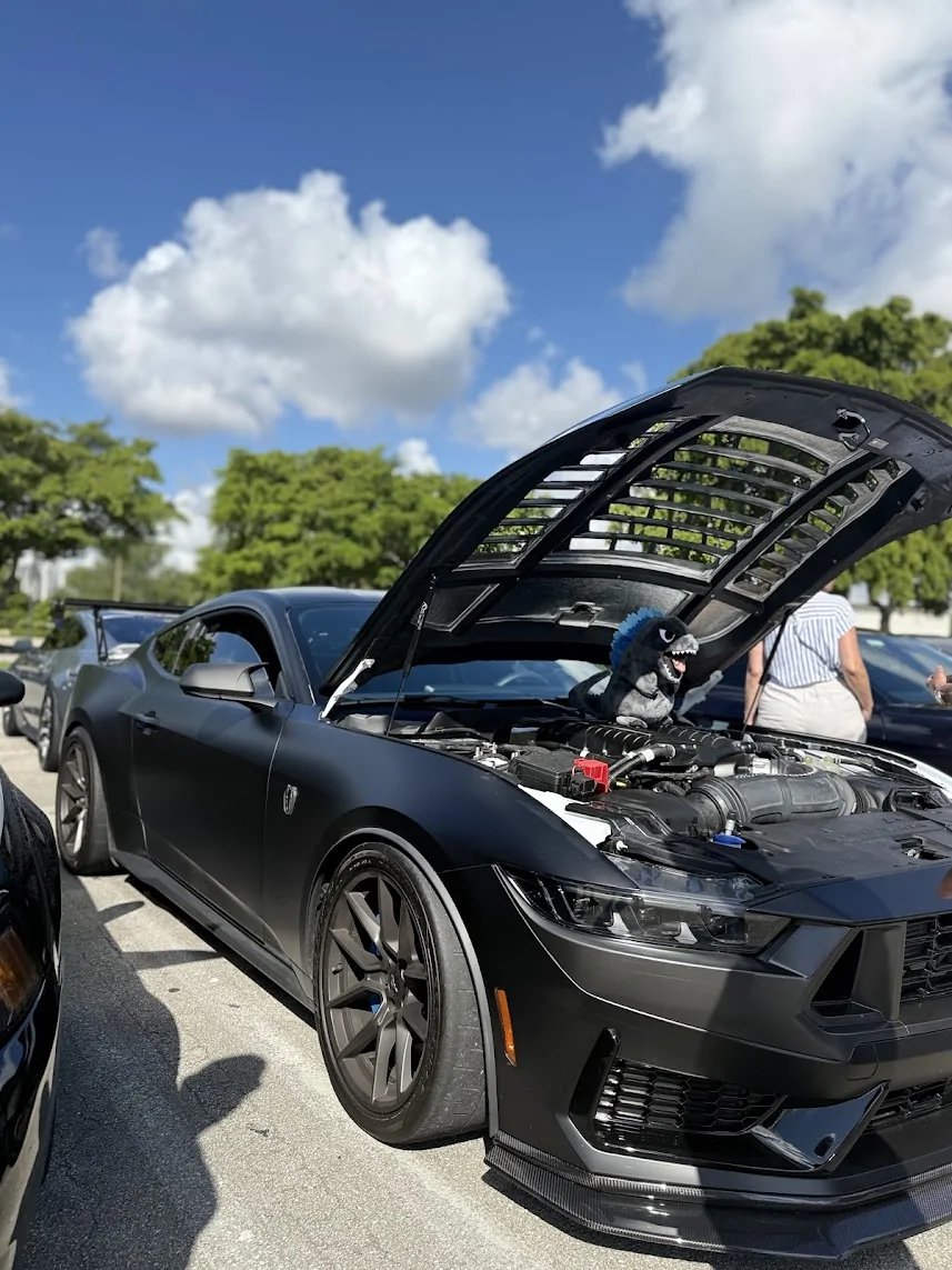S650 Mustang Cool Daily Random S650 Mustang Pics -- Post Yours! 📸 1781534507408-u2