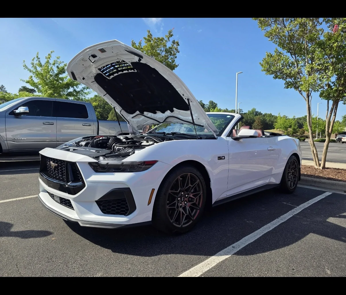 S650 Mustang Cool Daily Random S650 Mustang Pics -- Post Yours! 📸 IMG_5392