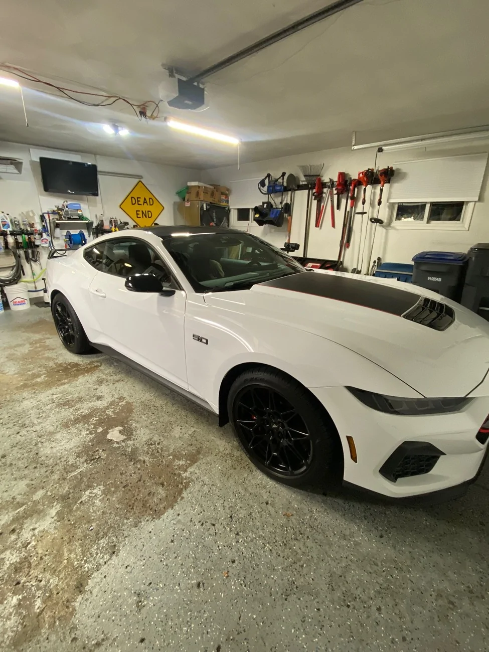 S650 Mustang Nite Pony pics. Show’m if ya gott’m IMG_9491
