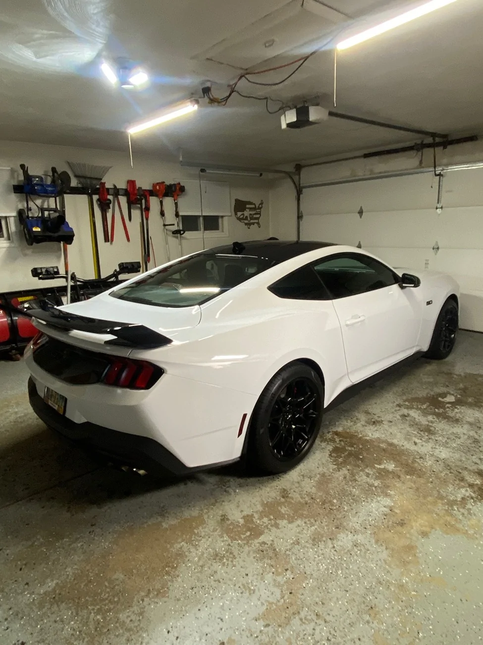 S650 Mustang Nite Pony pics. Show’m if ya gott’m IMG_9490