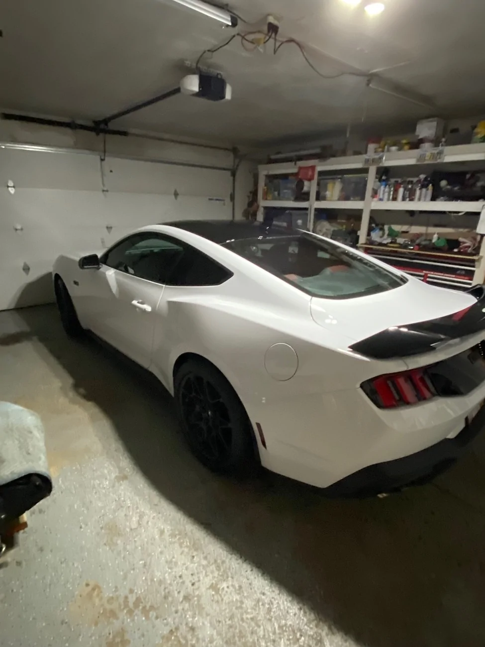 S650 Mustang Nite Pony pics. Show’m if ya gott’m IMG_9572