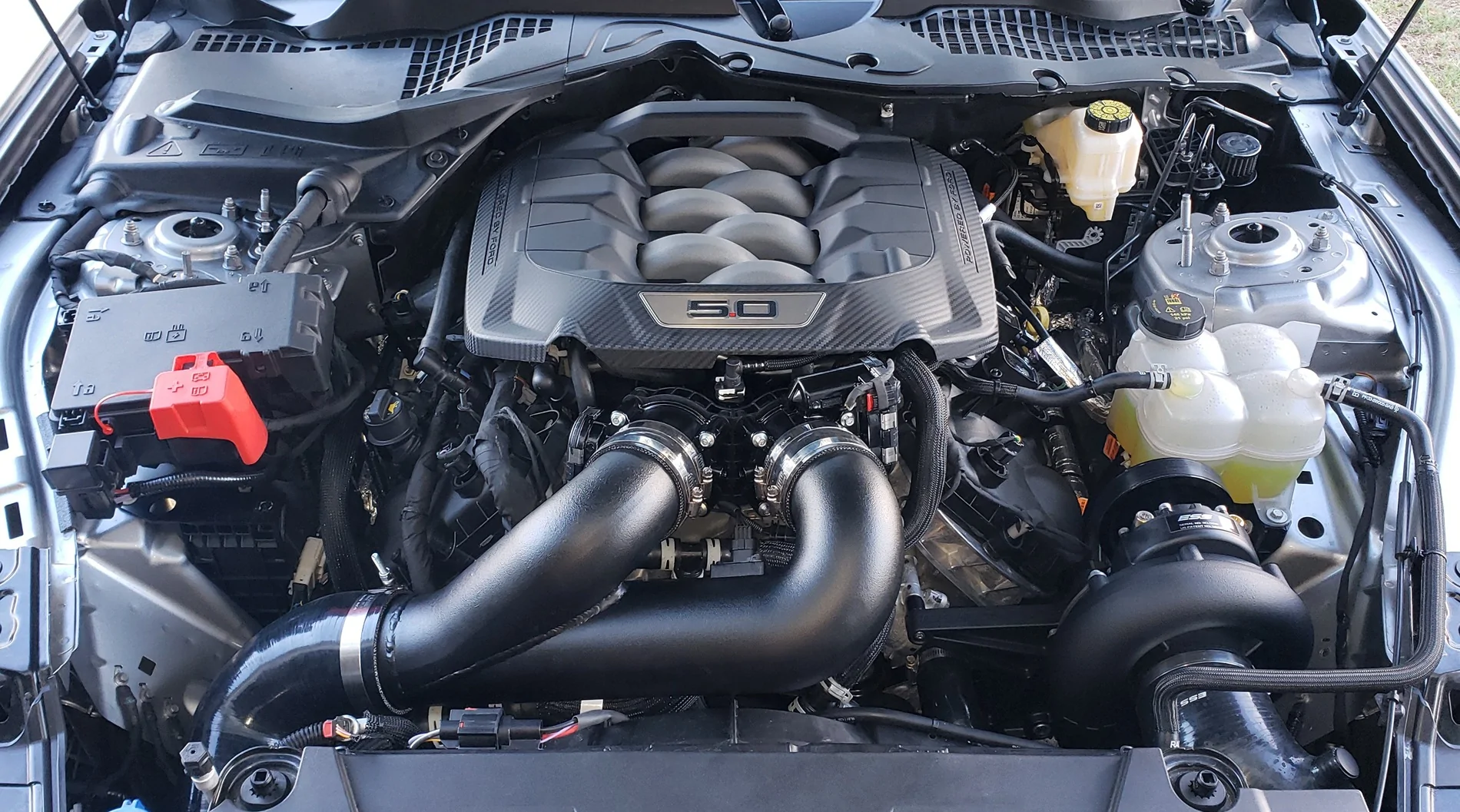 S650 Mustang Another ESS thread. 20260518_190313