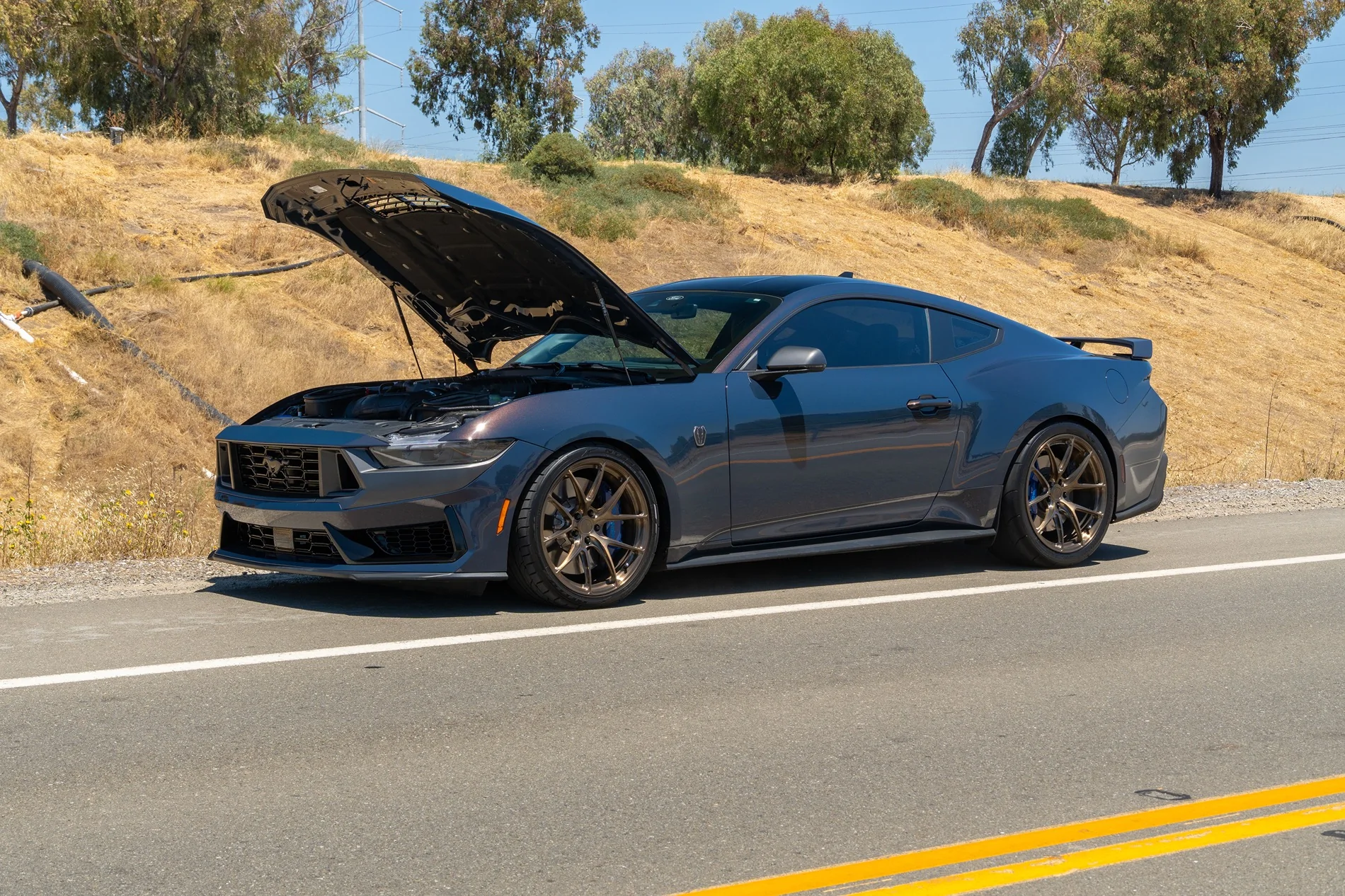 S650 Mustang Cool Daily Random S650 Mustang Pics -- Post Yours! 📸 DSC04497